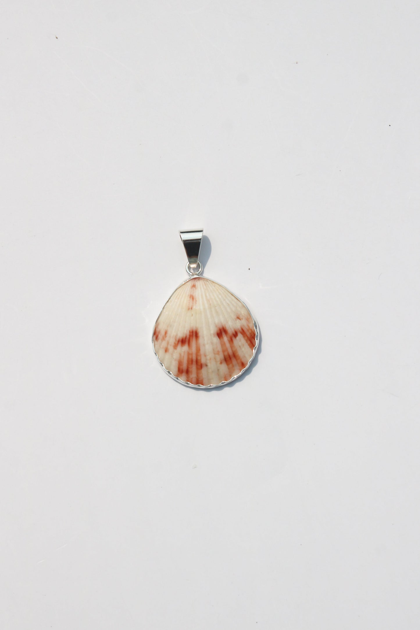 Medium Shell Pendants
