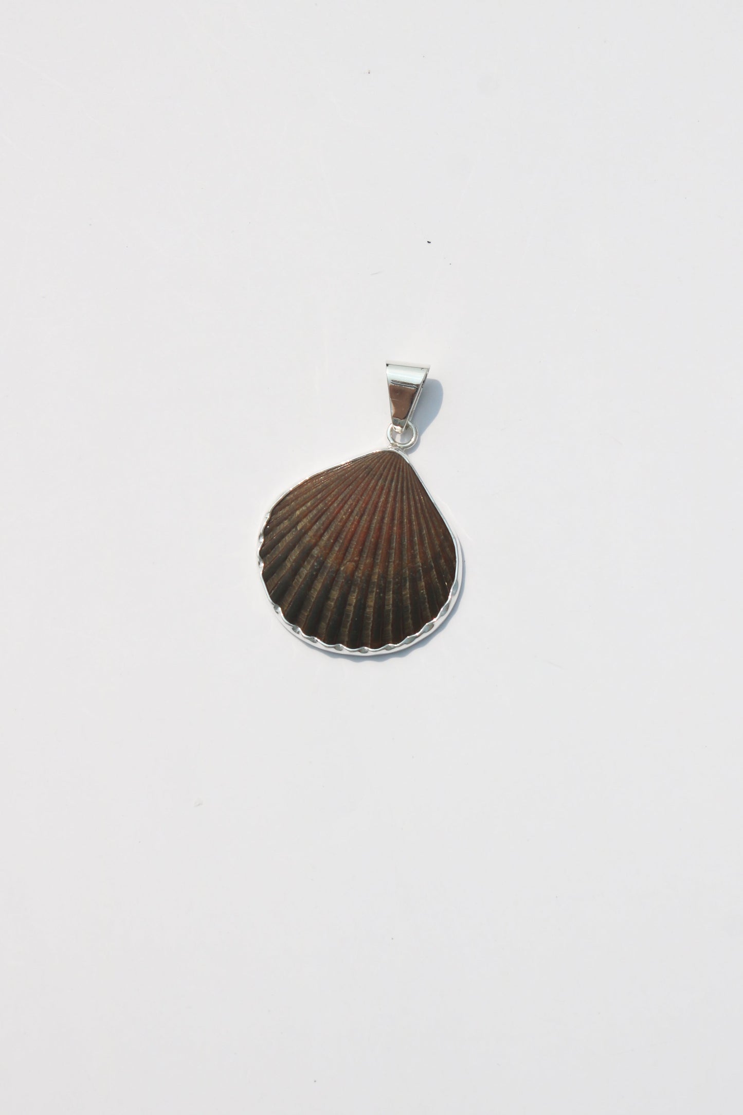 Medium Shell Pendants