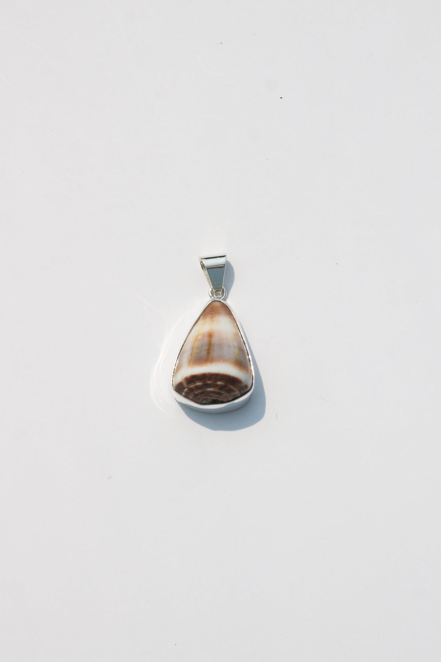 Medium Shell Pendants