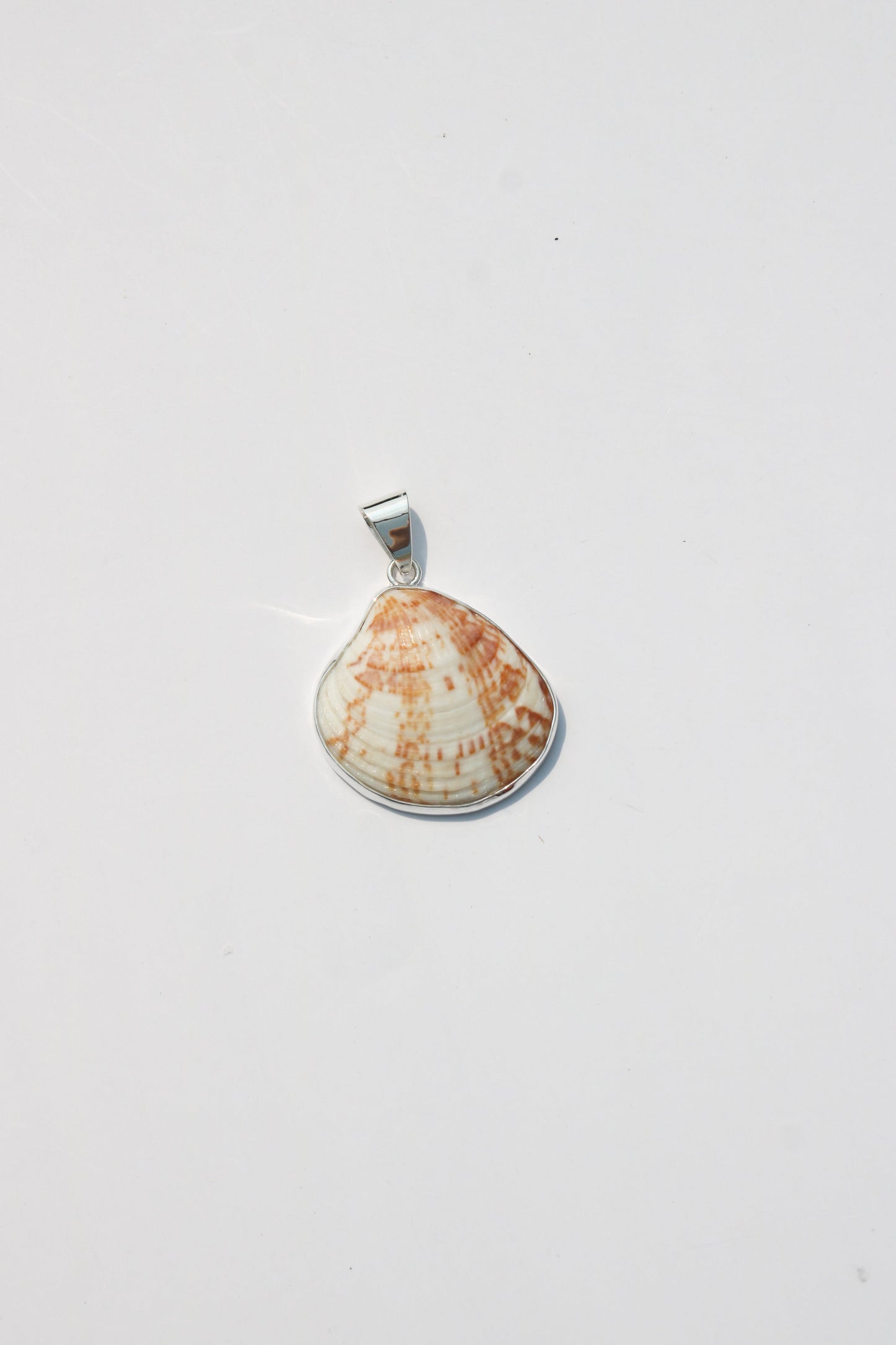 Medium Shell Pendants