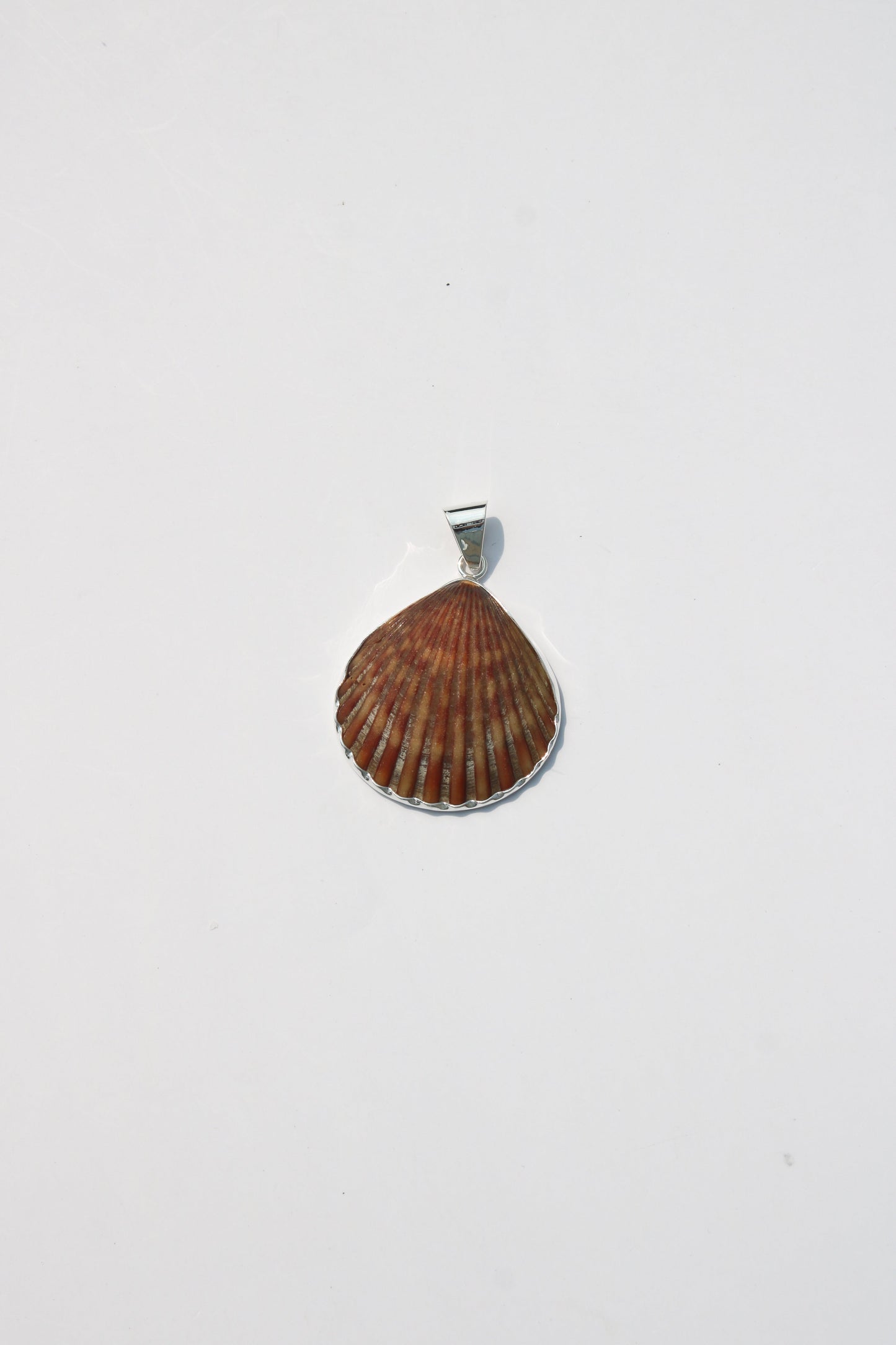 Medium Shell Pendants