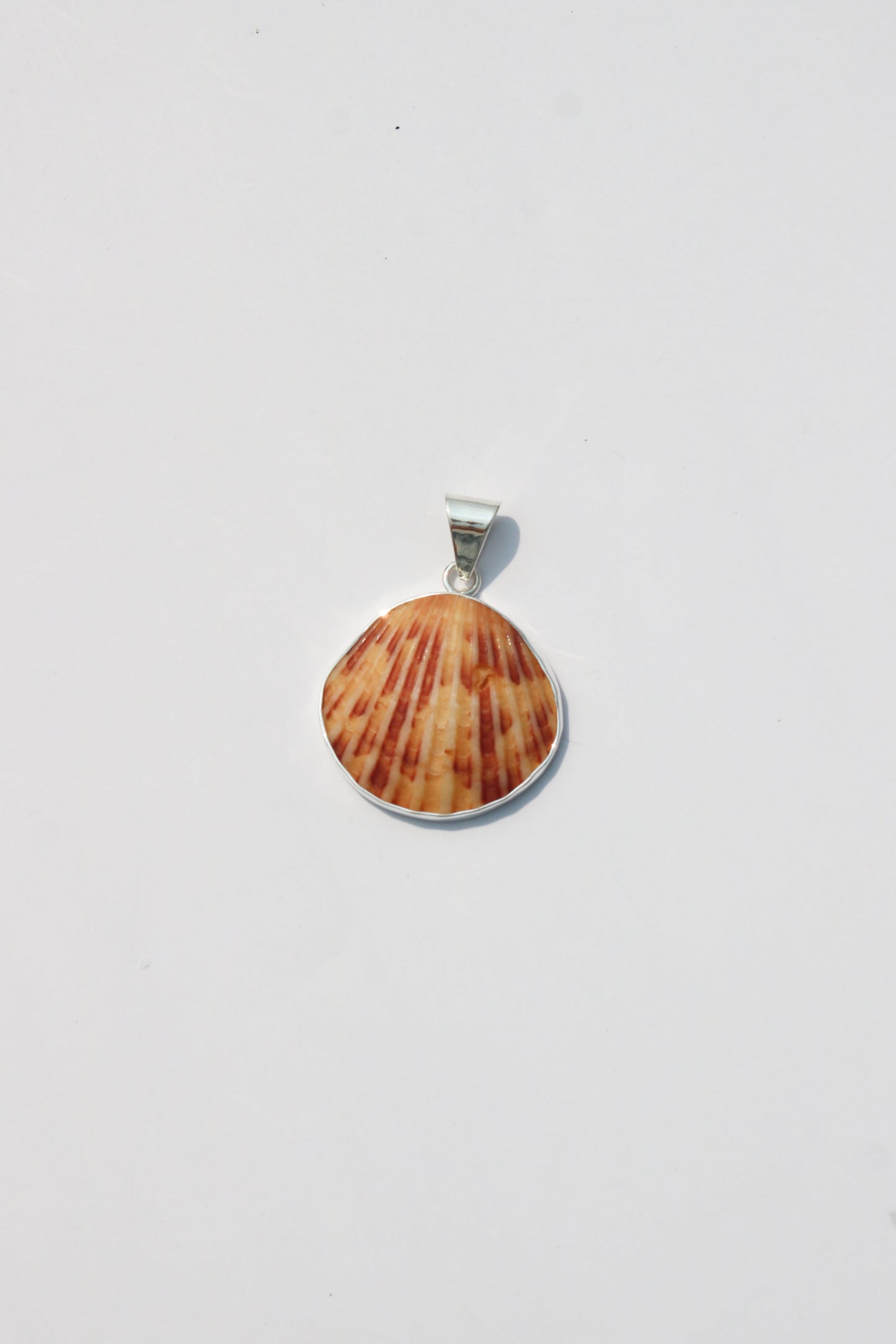 Medium Shell Pendants