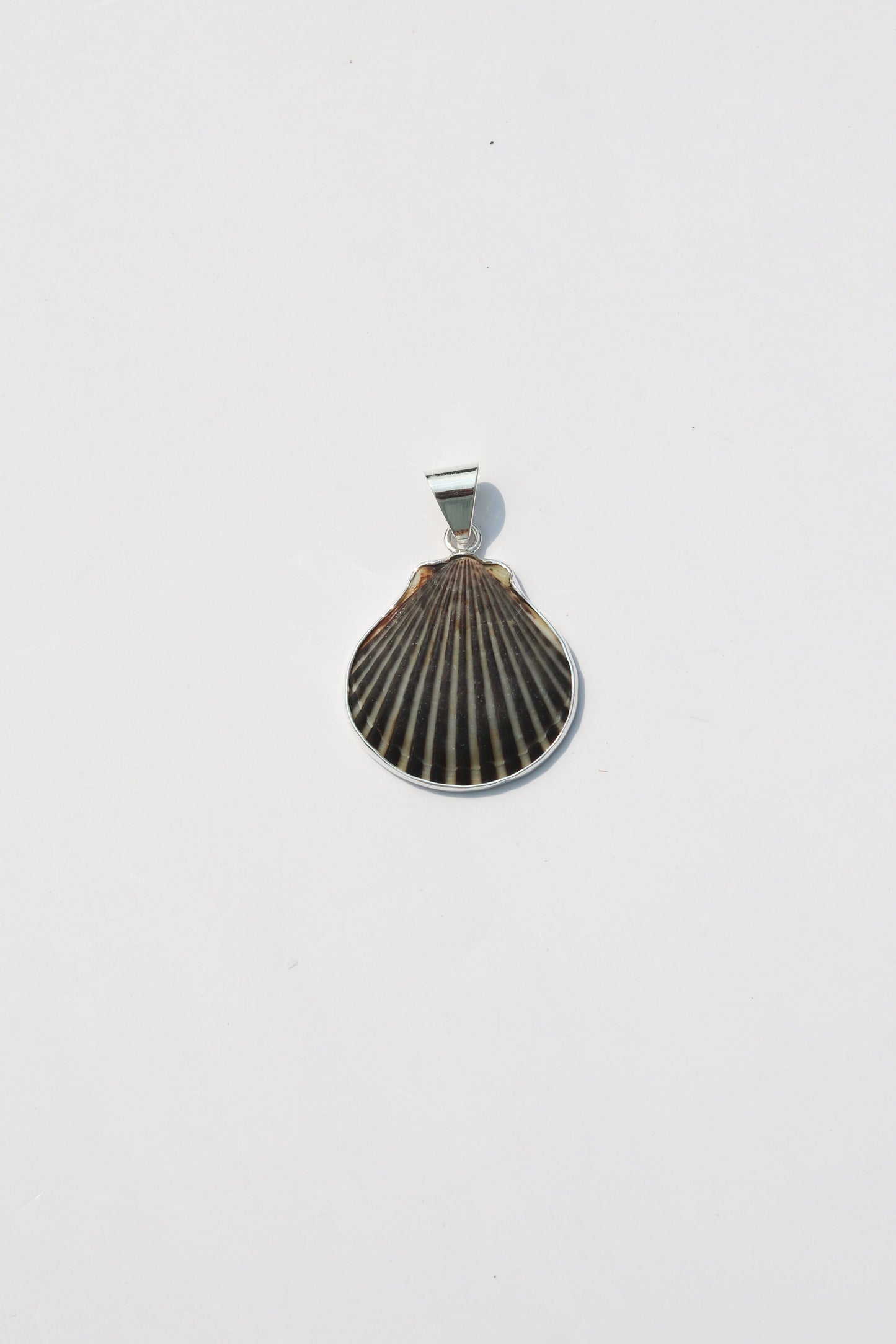 Medium Shell Pendants