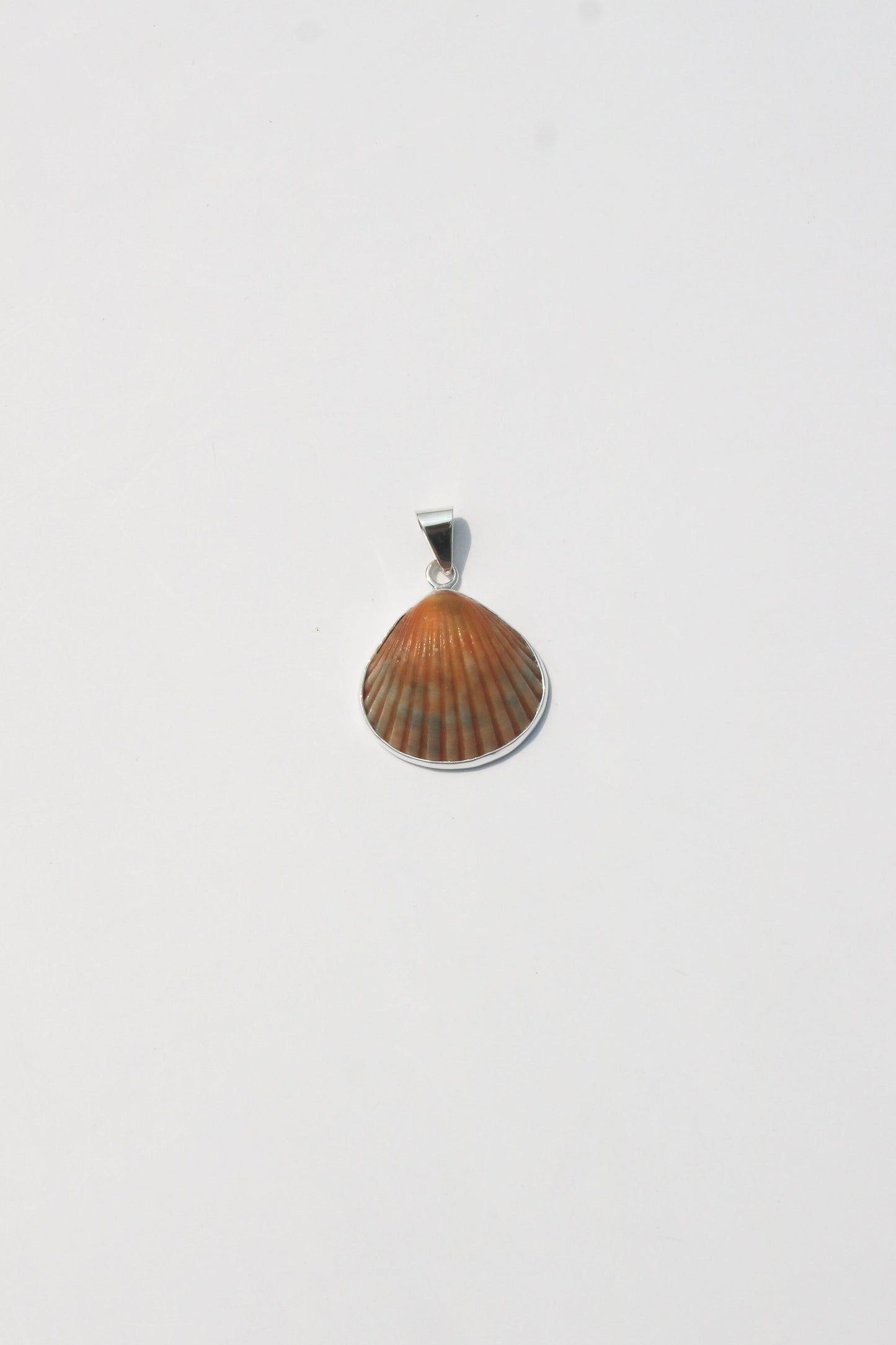 XS-Small Shell Pendants