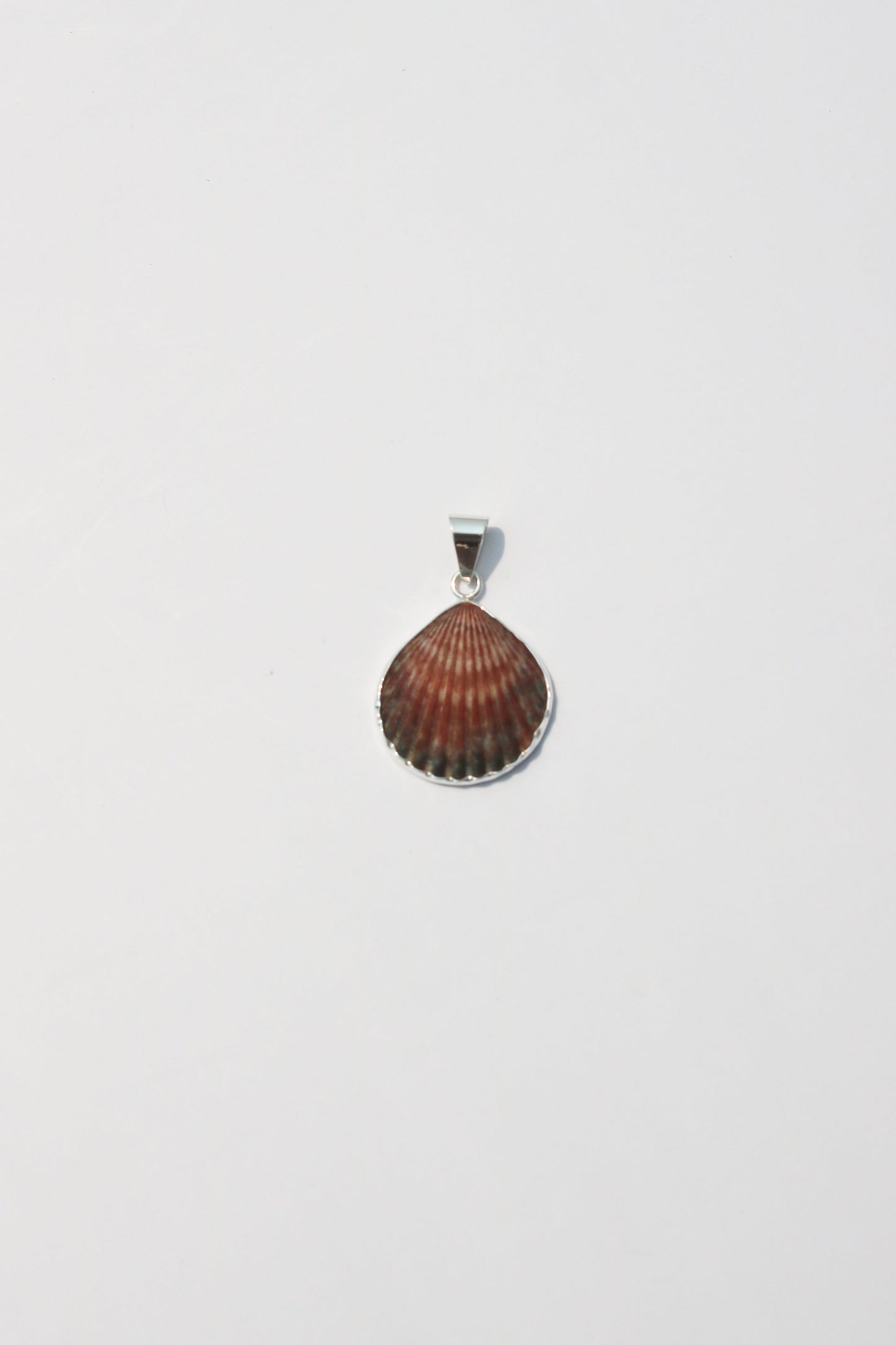XS-Small Shell Pendants