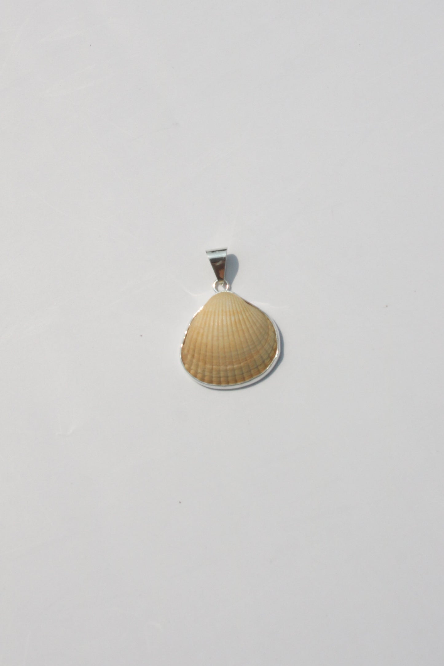 XS-Small Shell Pendants