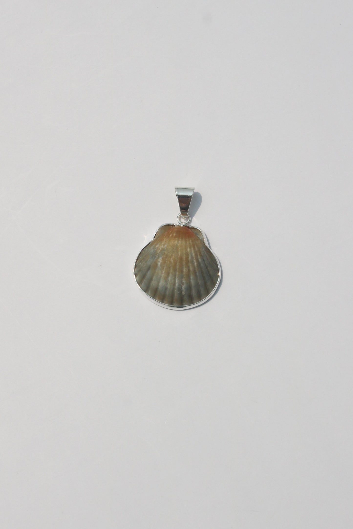 XS-Small Shell Pendants