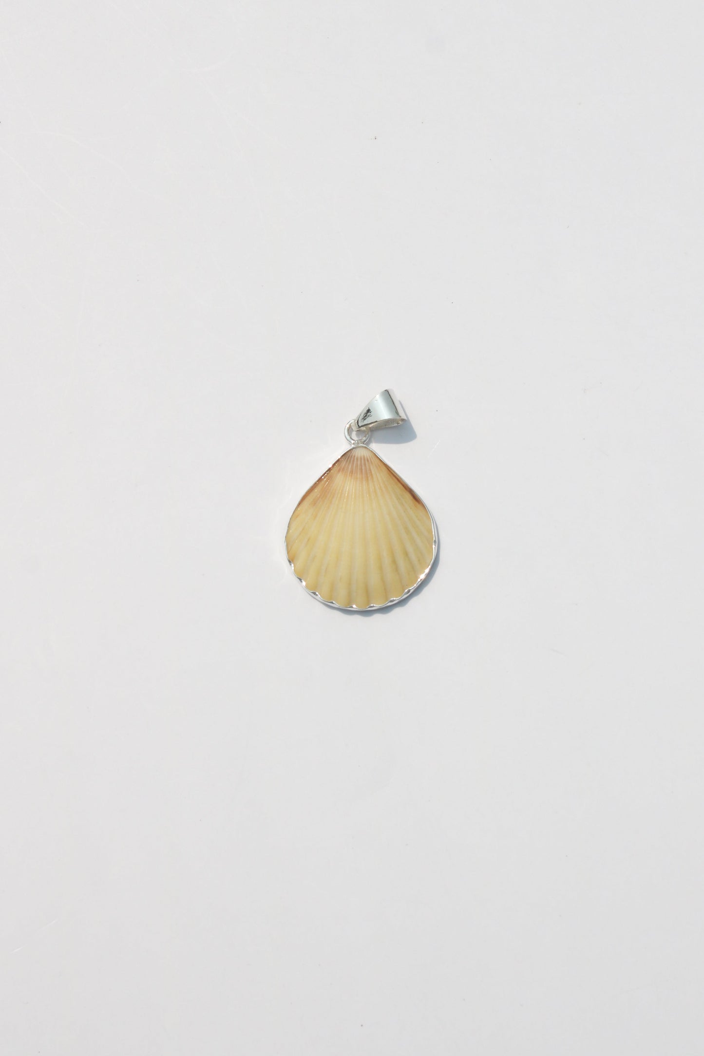 XS-Small Shell Pendants