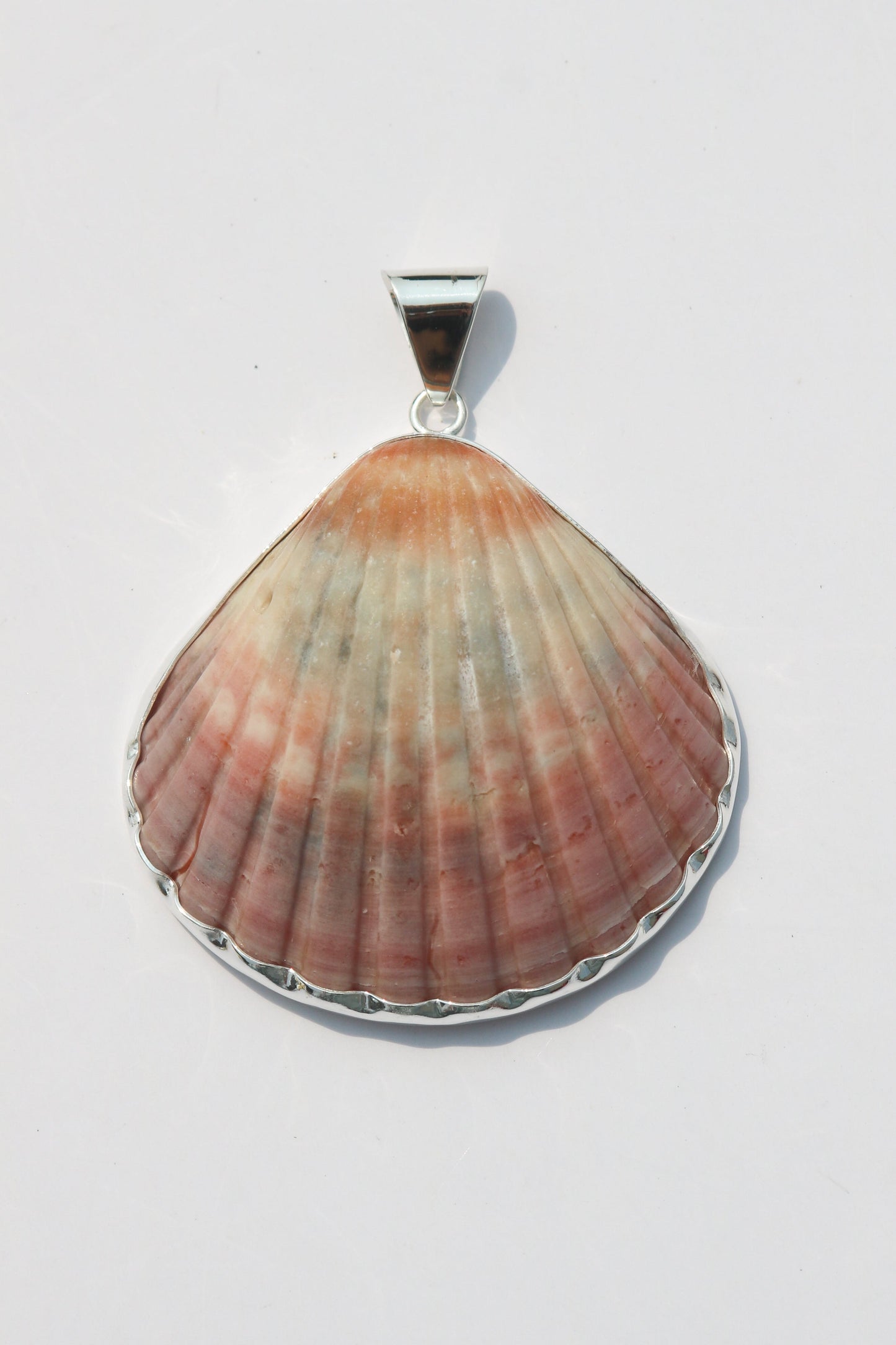 XL Shell Pendants