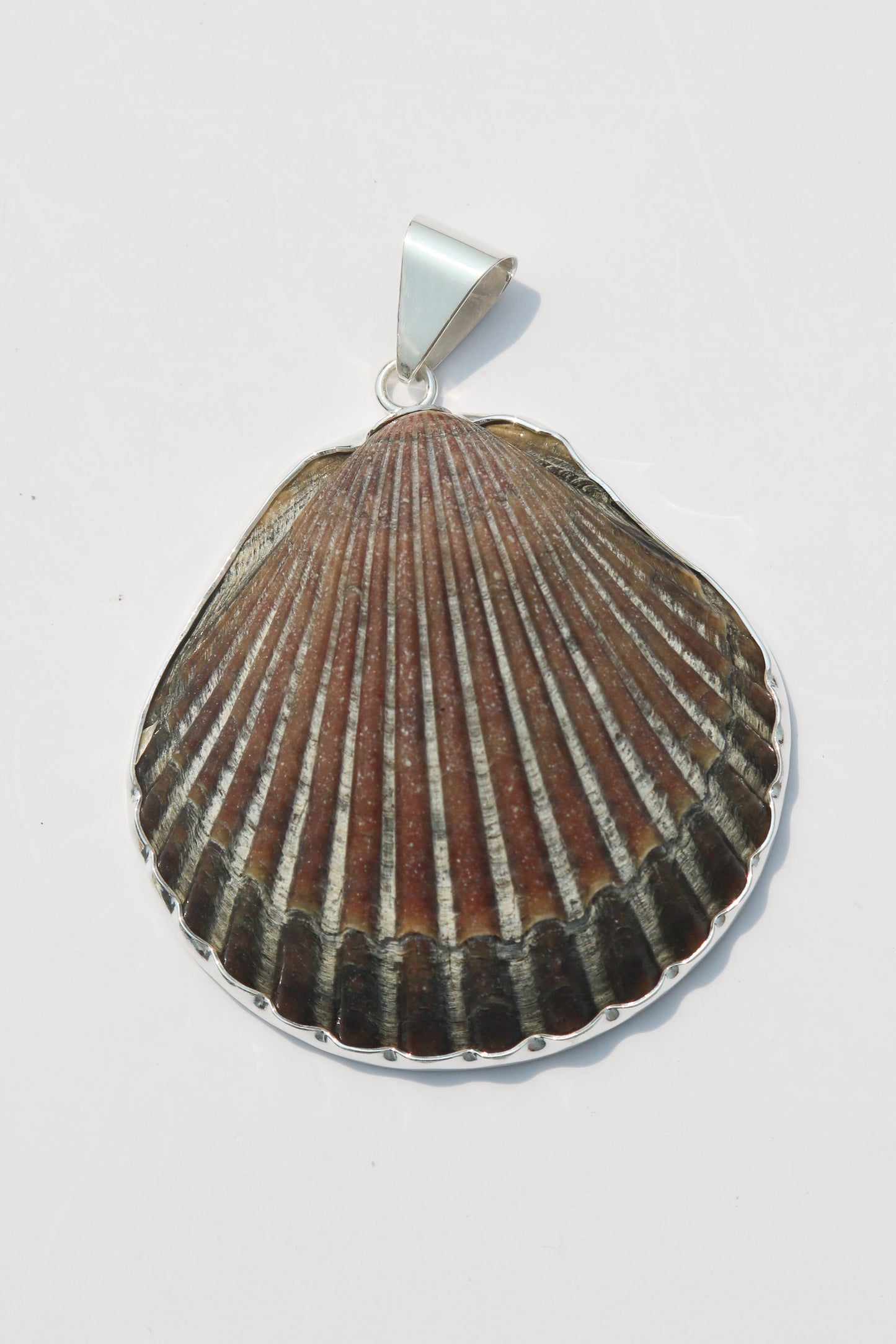 XL Shell Pendants