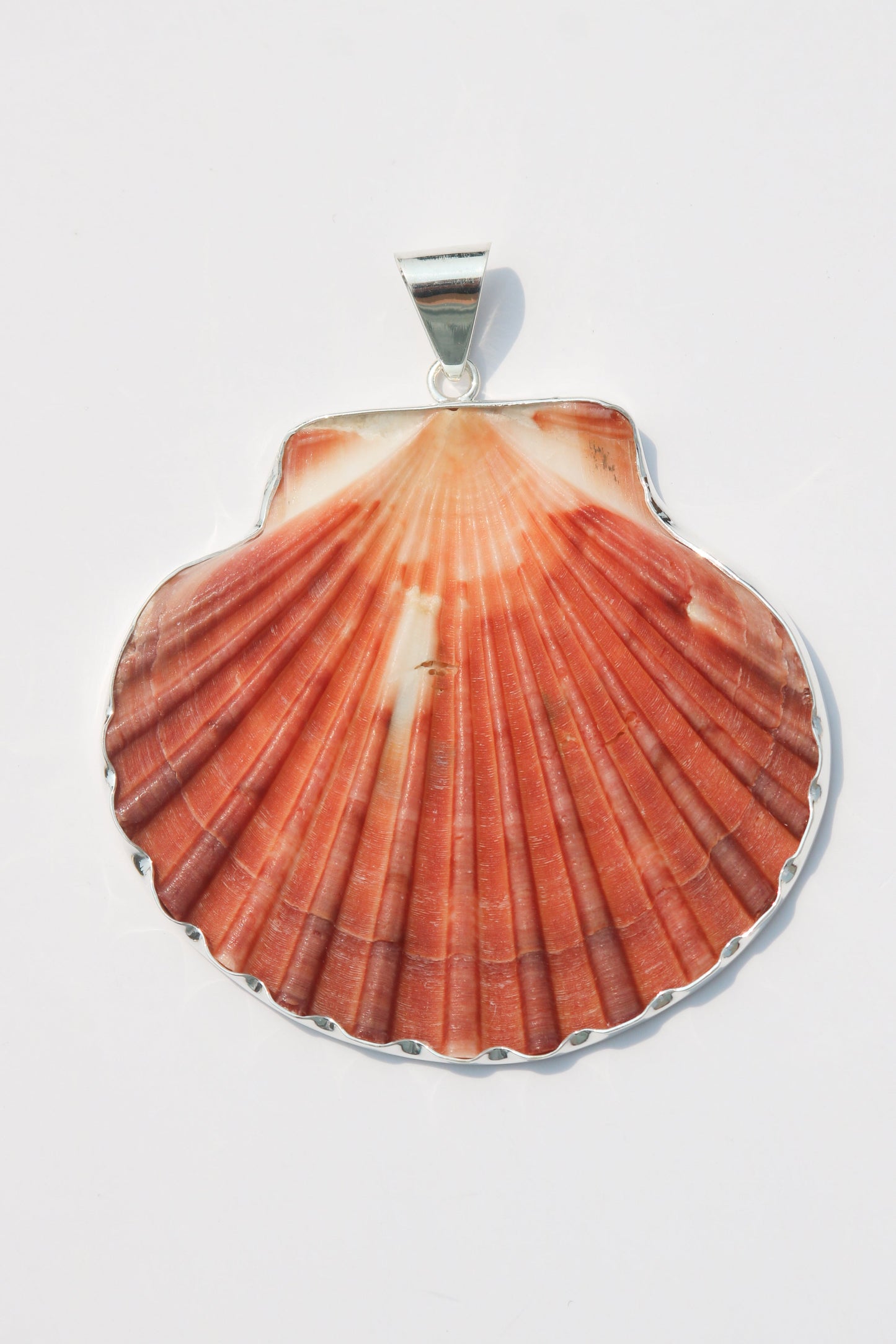 XL Shell Pendants