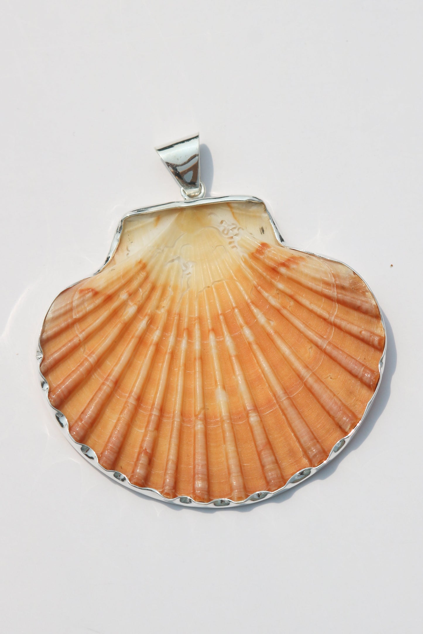 XL Shell Pendants