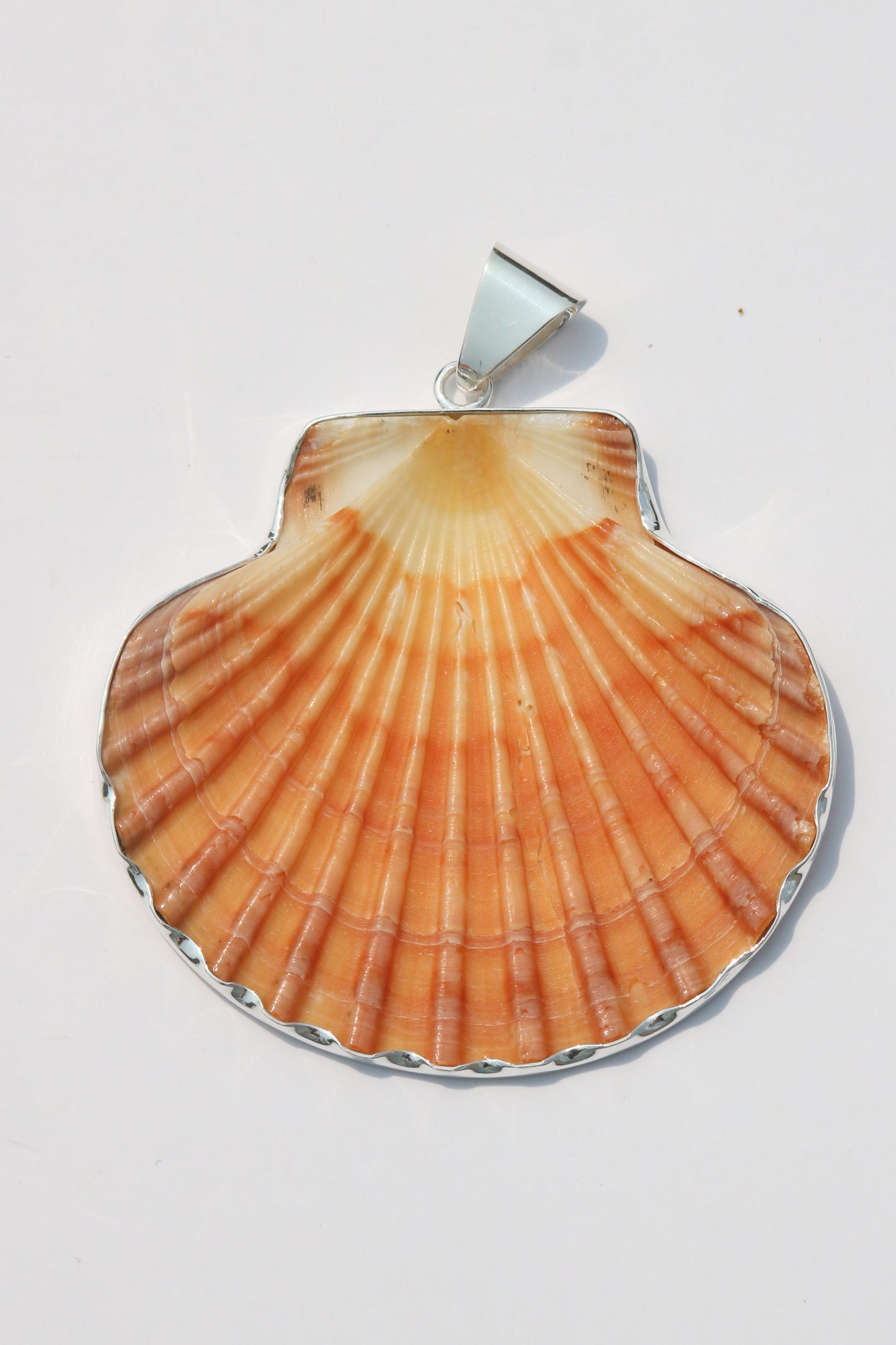 XL Shell Pendants