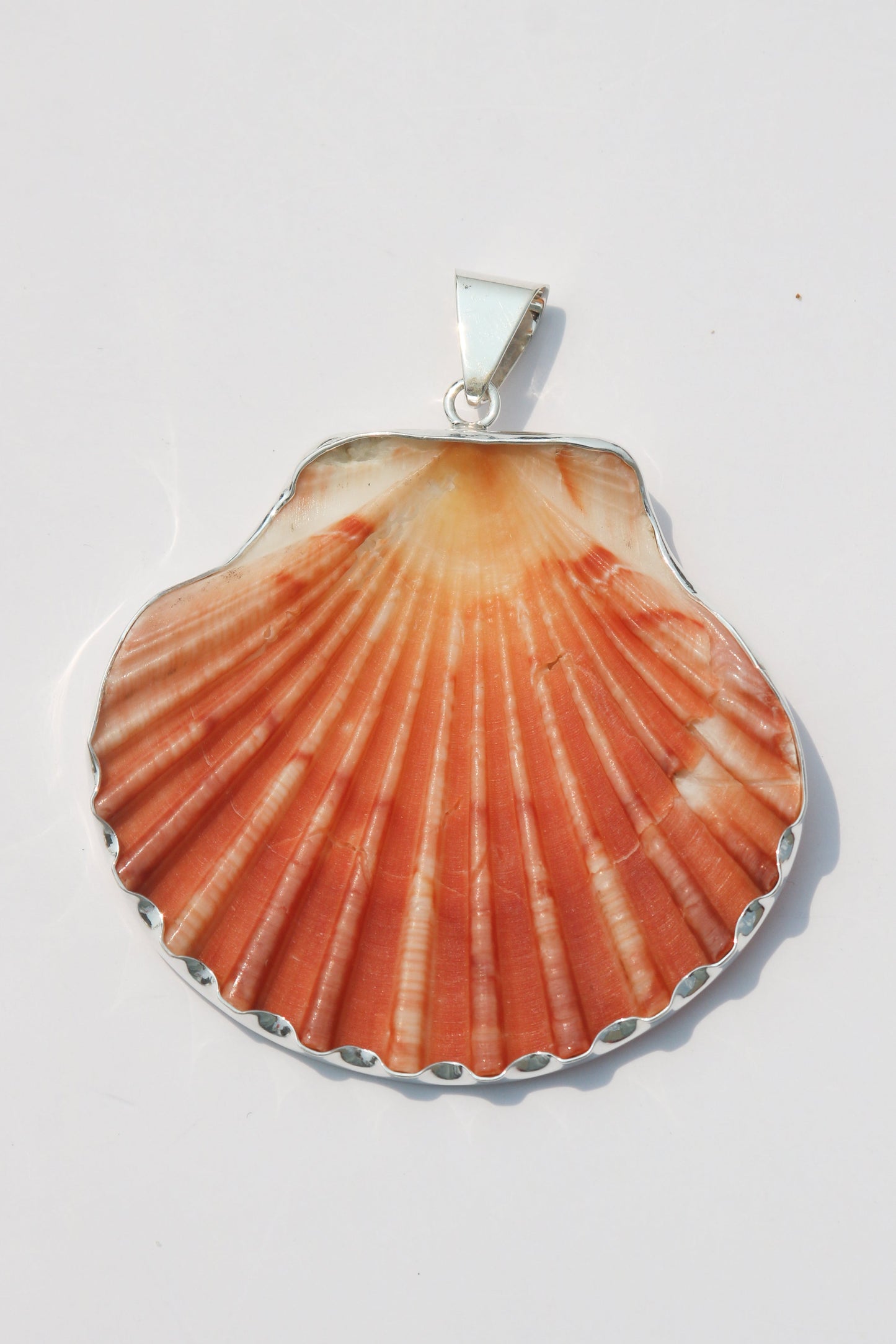 XL Shell Pendants