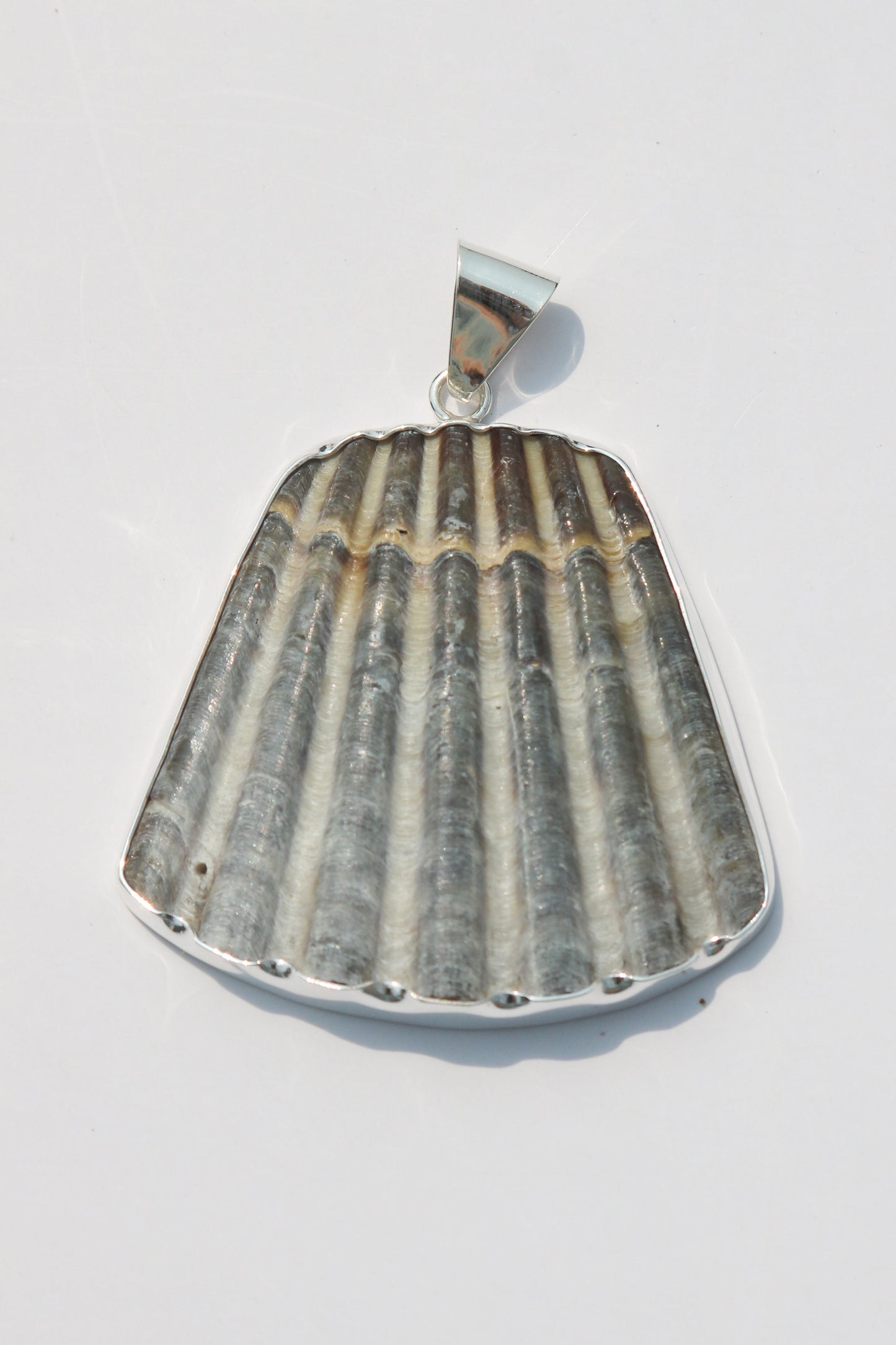 XL Shell Pendants