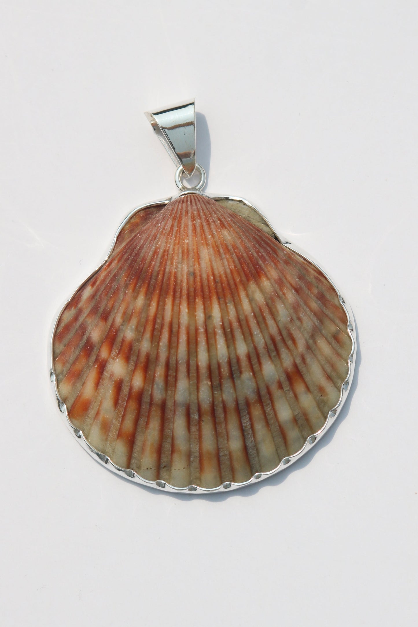 XL Shell Pendants
