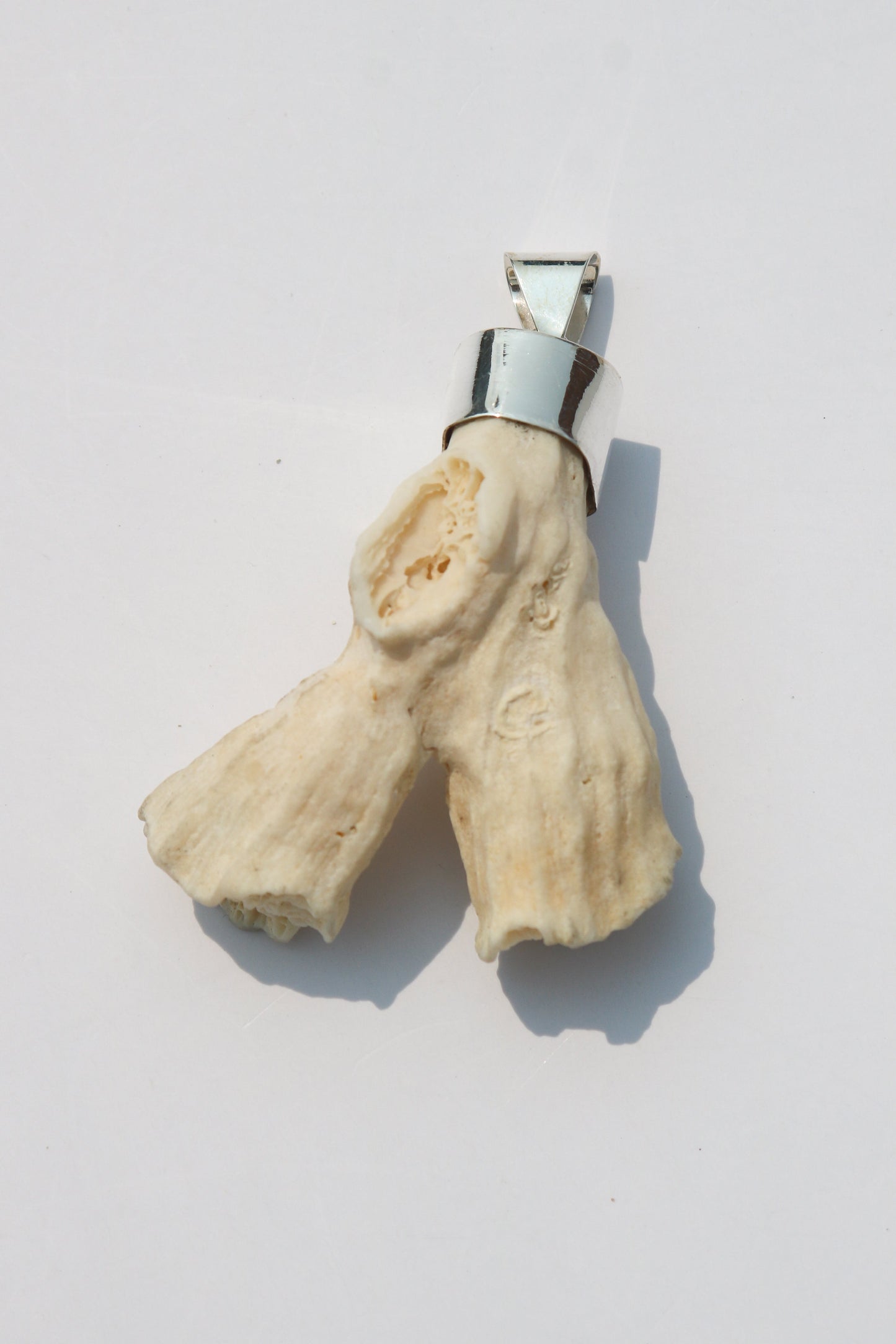 XL Shell Pendants