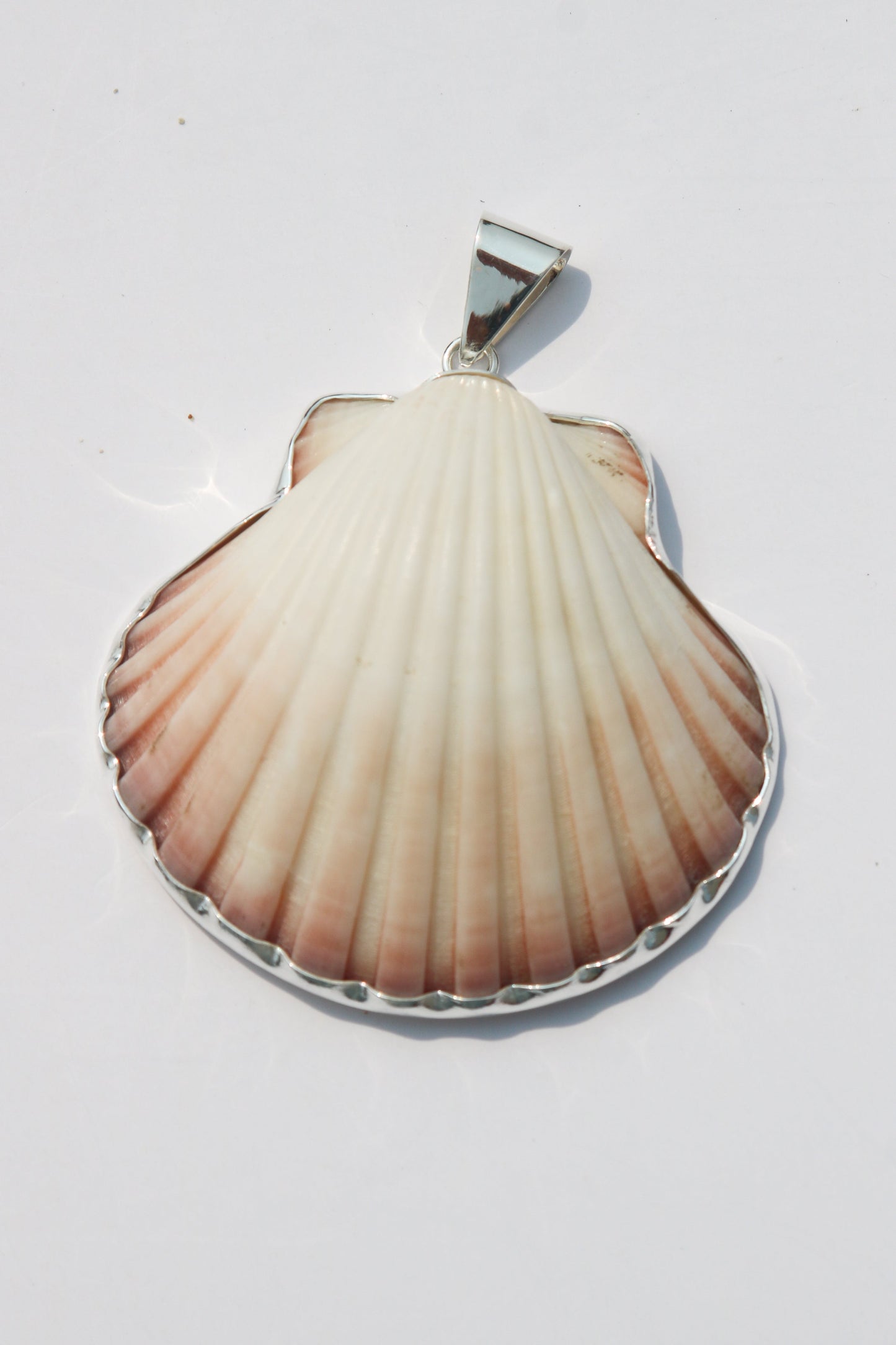 XL Shell Pendants
