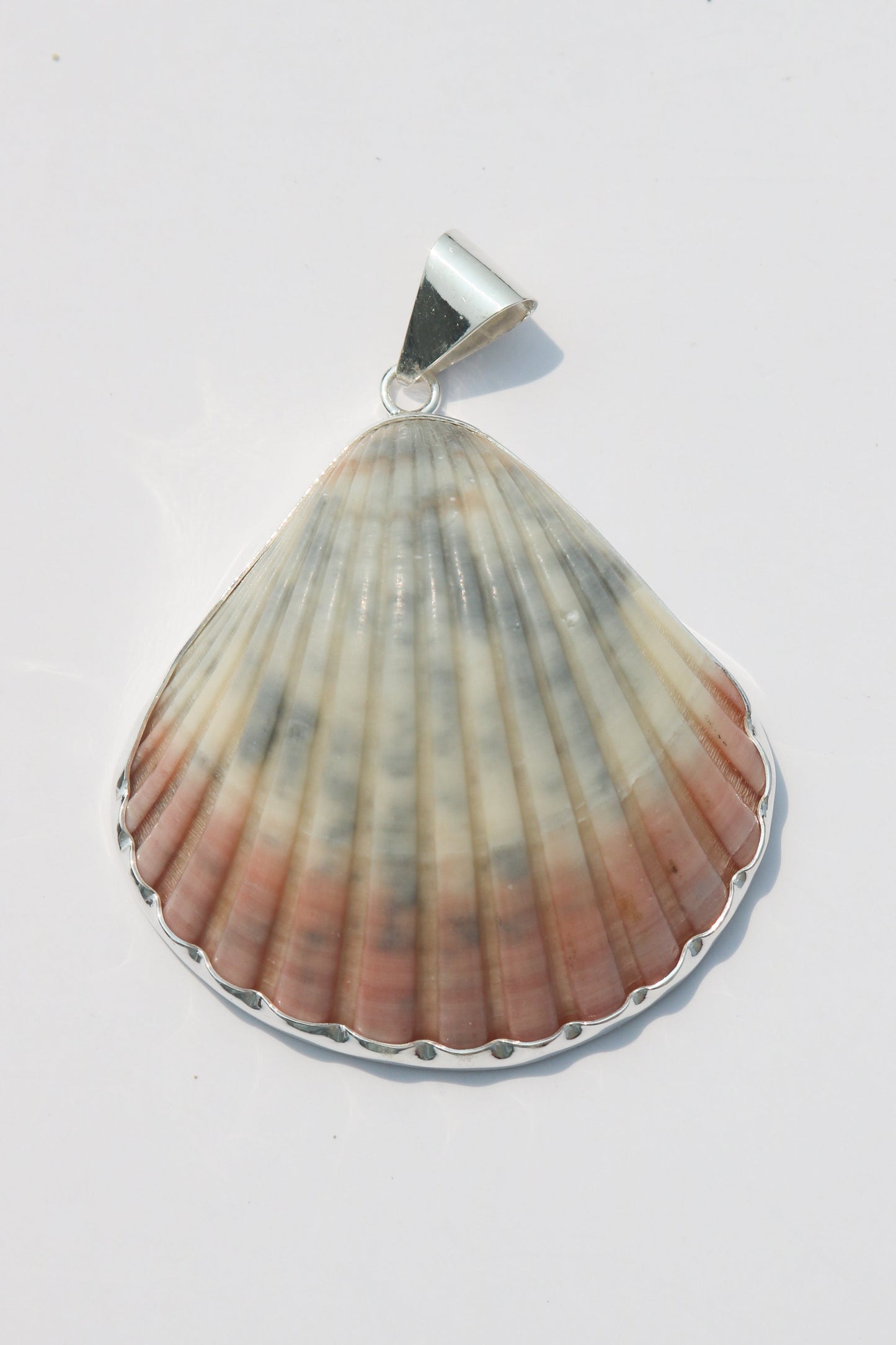 XL Shell Pendants