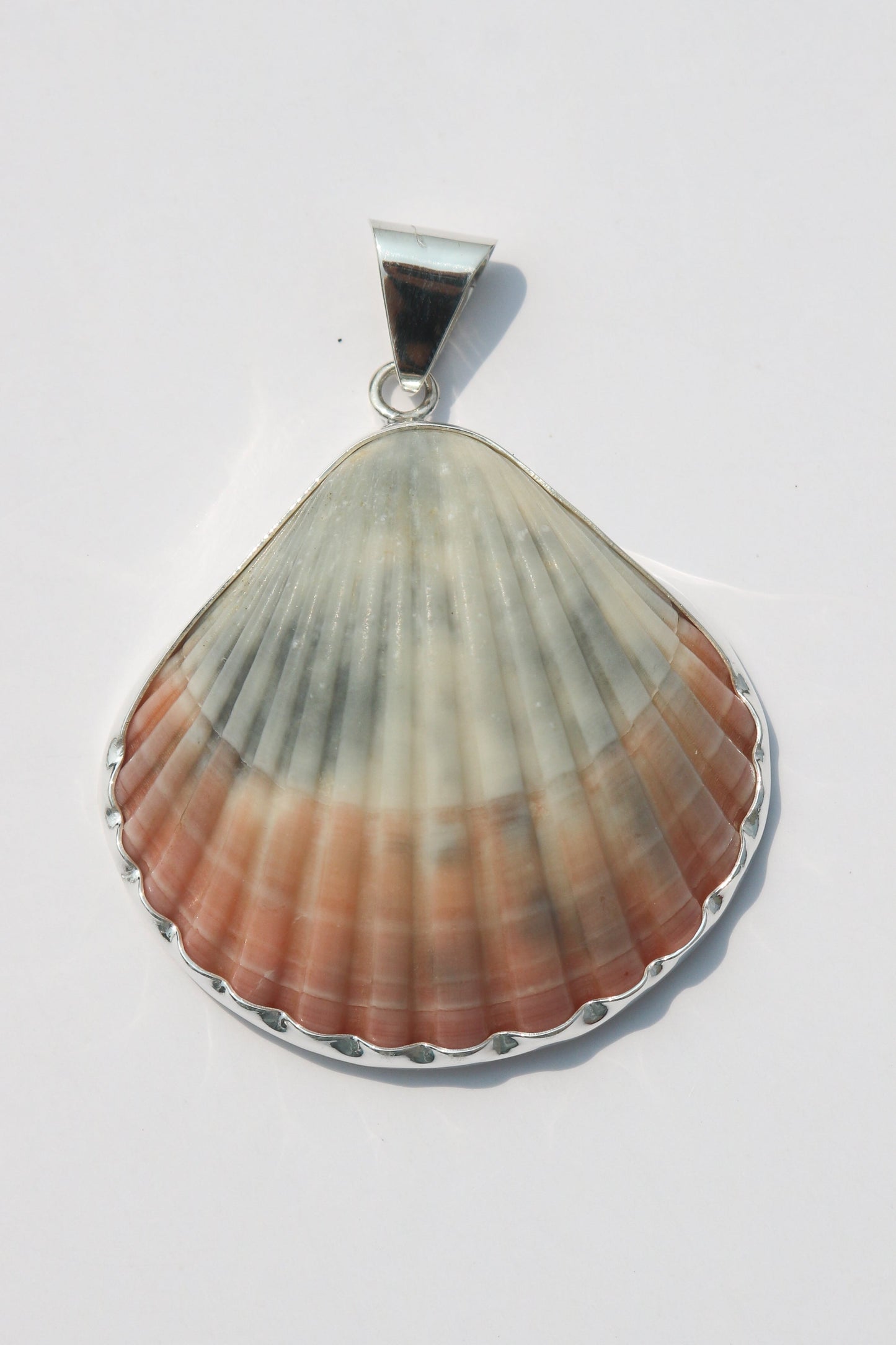 XL Shell Pendants