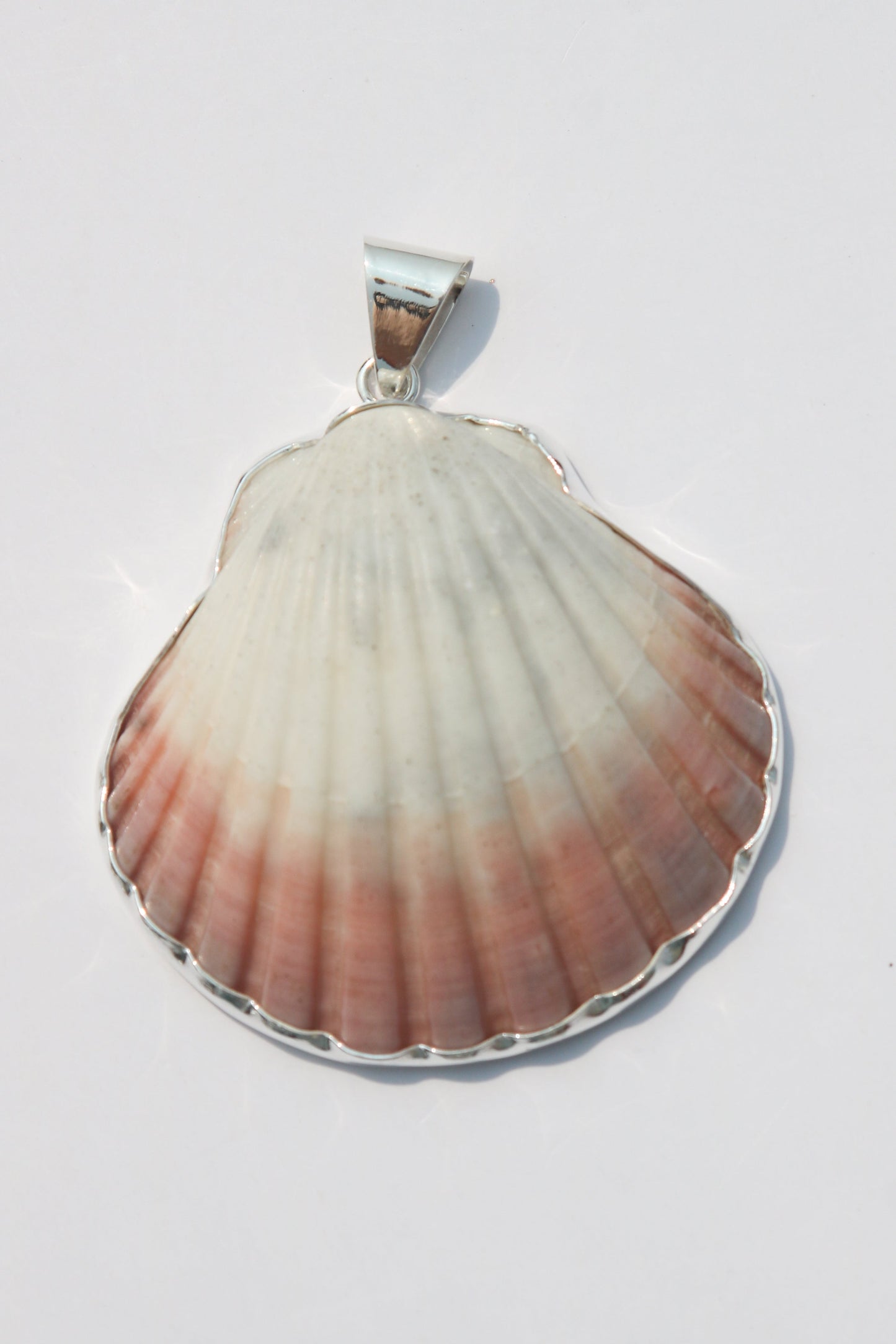 XL Shell Pendants