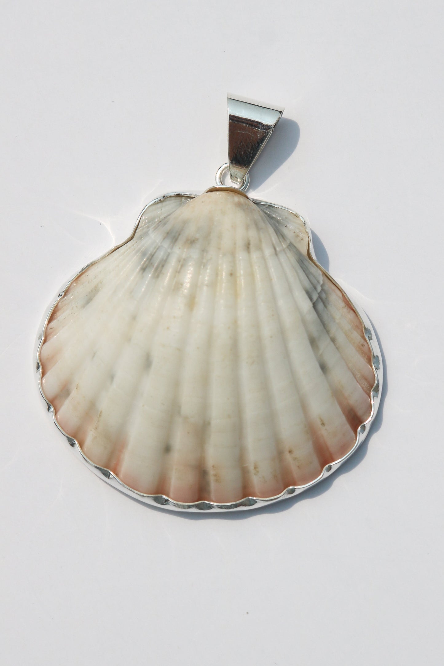 XL Shell Pendants