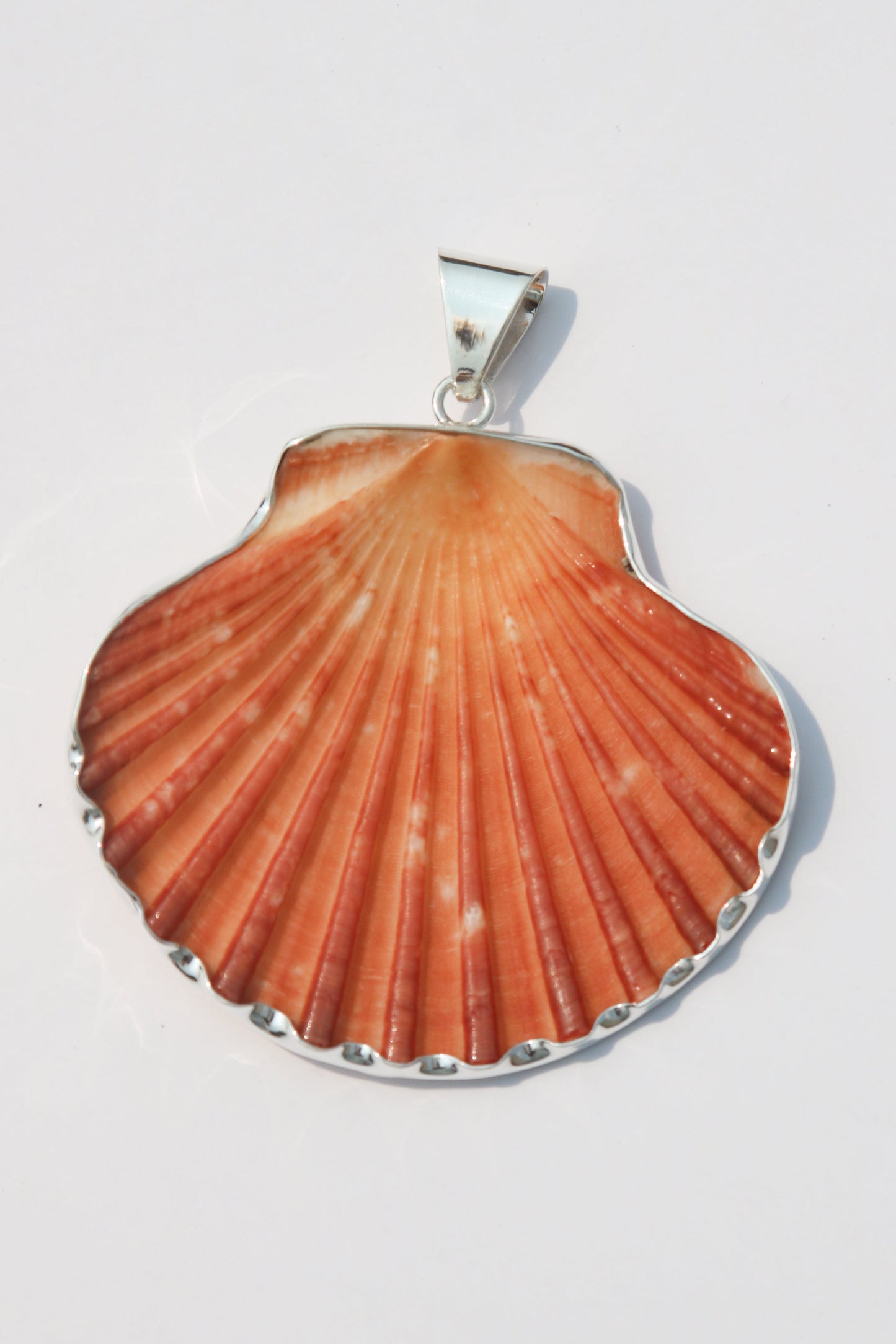 XL Shell Pendants