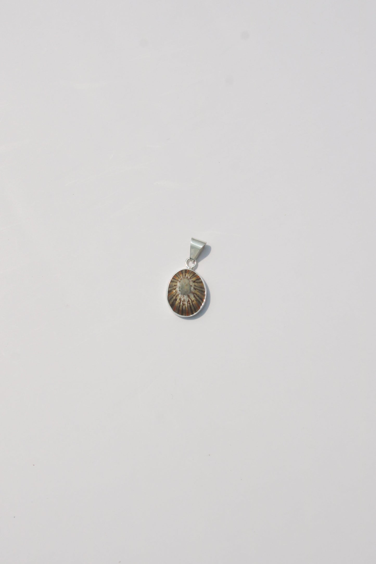 XS-Small Shell Pendants