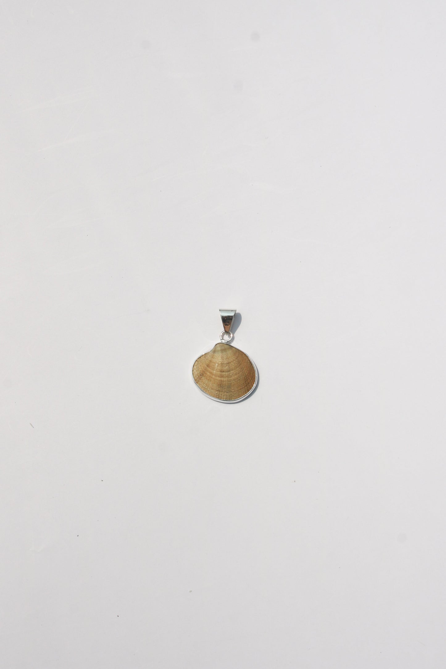 XS-Small Shell Pendants