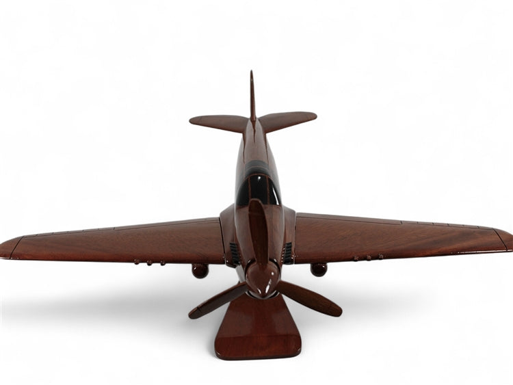 P-40 ( P40 ) Warhawk