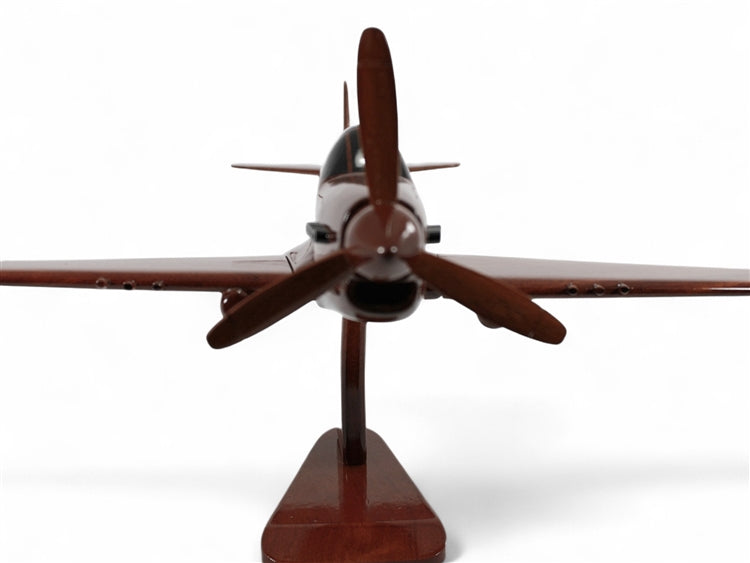 P-40 ( P40 ) Warhawk