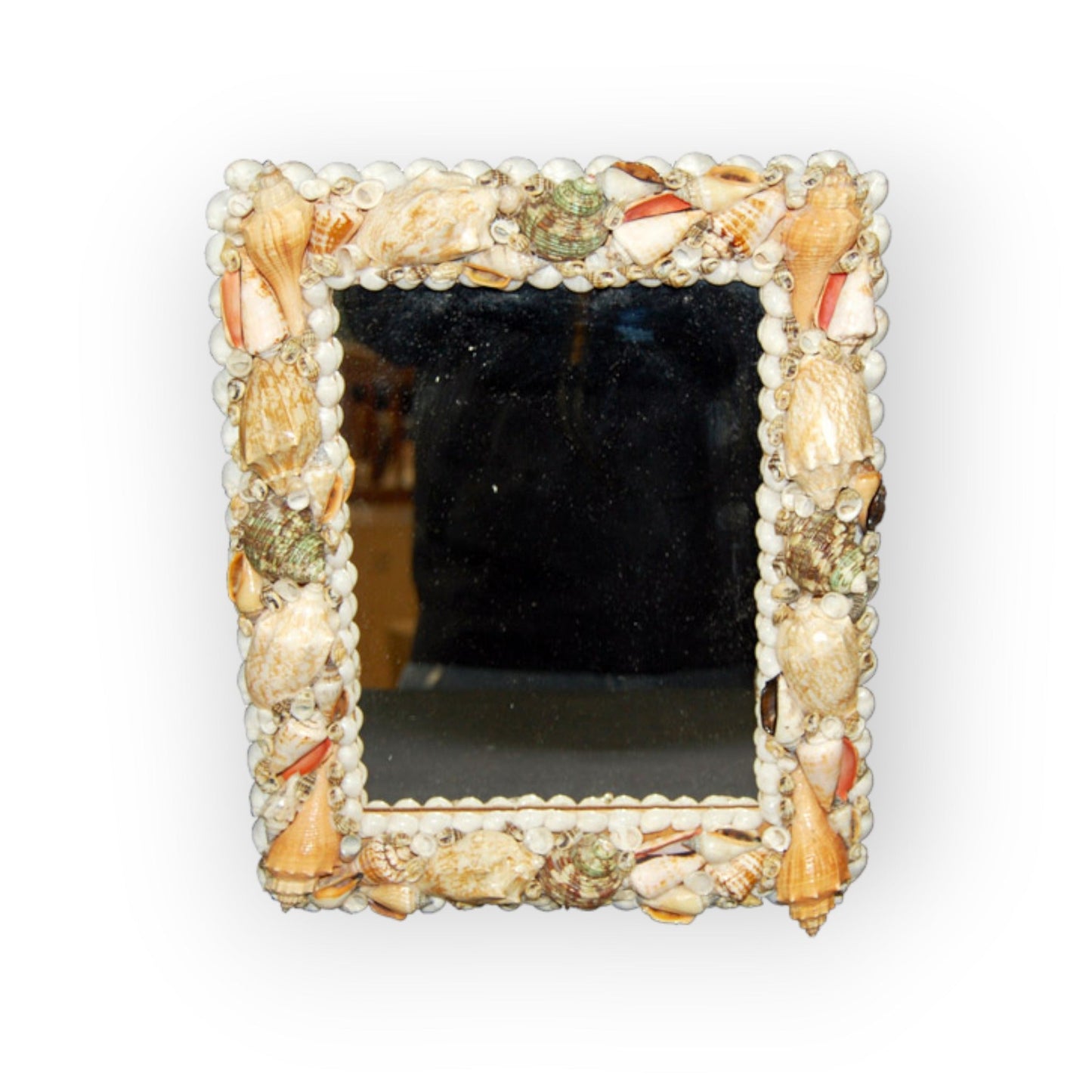 Seashell Mirror 12" x 14"
