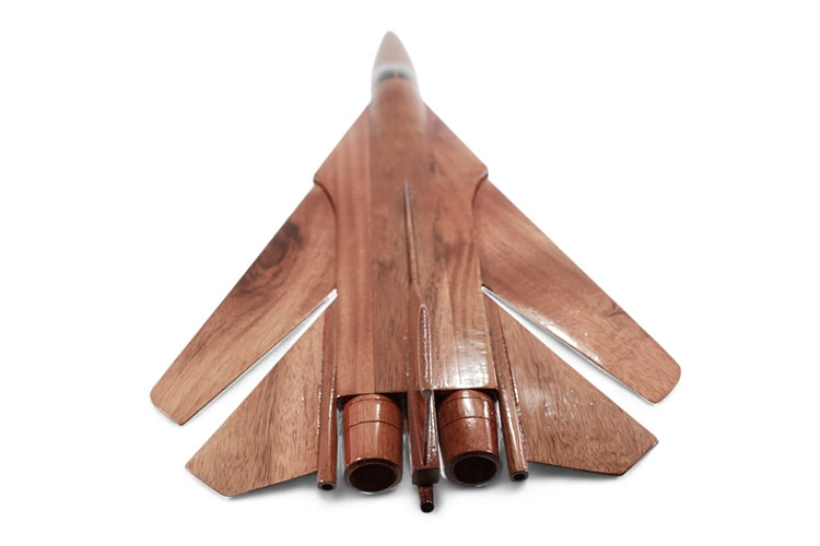 F-111 ( F111 ) Aardvark