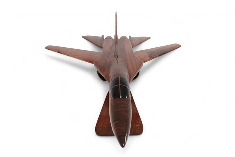 F-111 ( F111 ) Aardvark