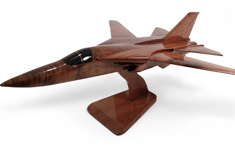 F-111 ( F111 ) Aardvark