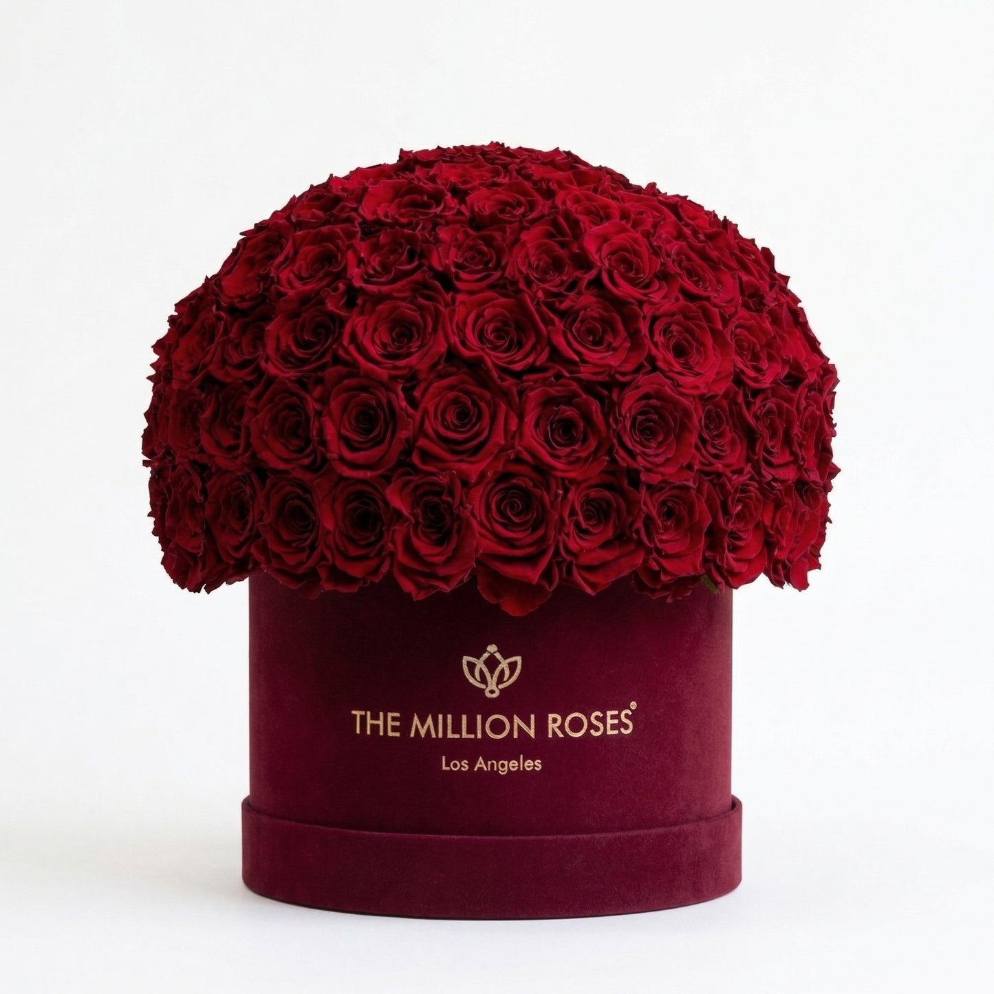 Supreme Bordeaux Suede Superdome Box | Burgundy Roses