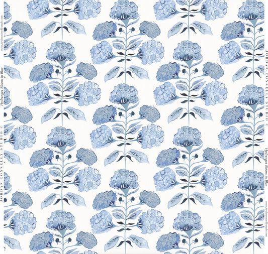 Hydrangea Bloom in Blue Wallpaper