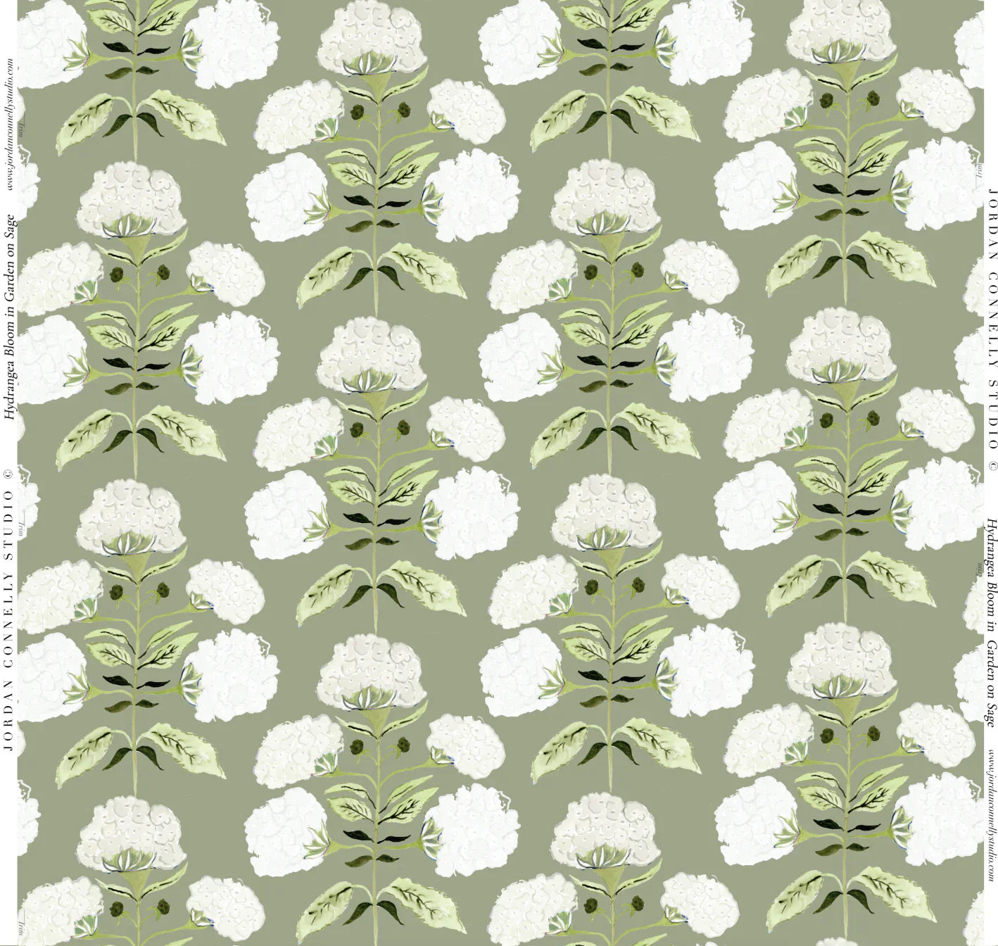 Hydrangea Bloom in Garden on Sage- Fabric