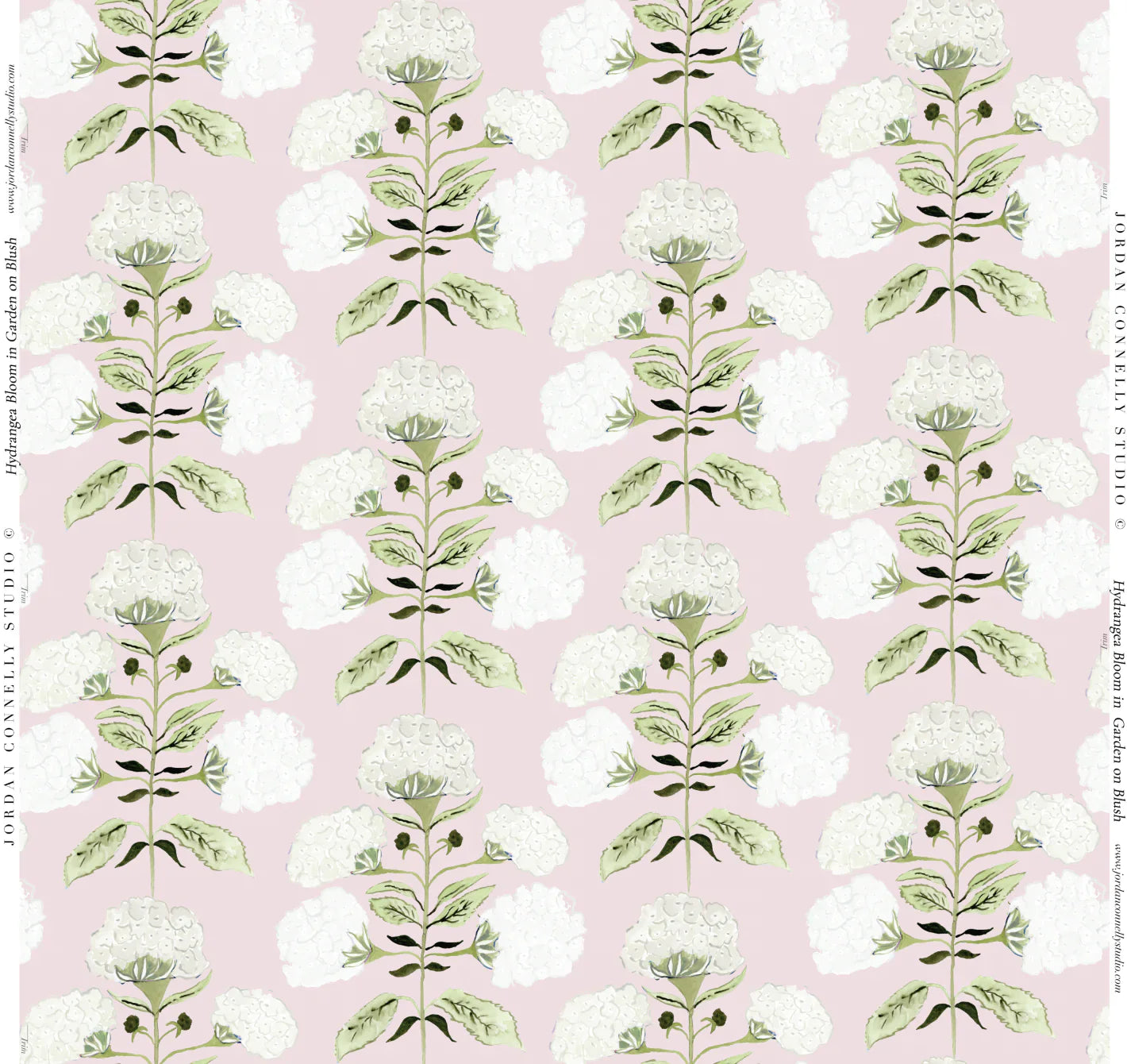 Hydrangea Bloom in Garden on Blush- Fabric