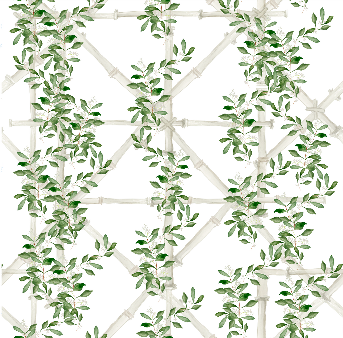 Bamboo Jasmine in White Wallpaper