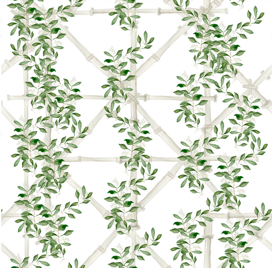 Bamboo Jasmine in White Wallpaper