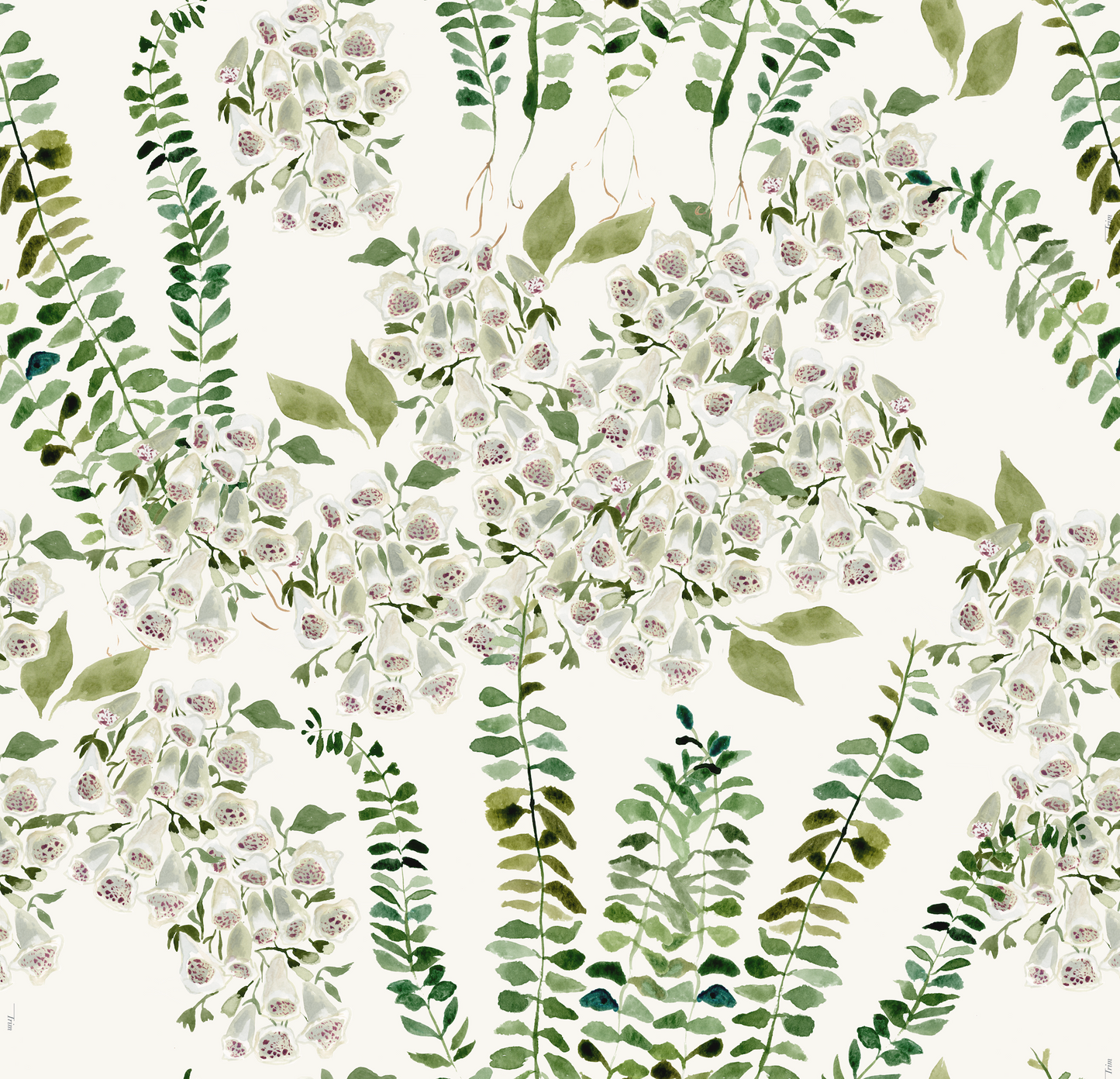 Foxglove Vine in Cream Wallpaper