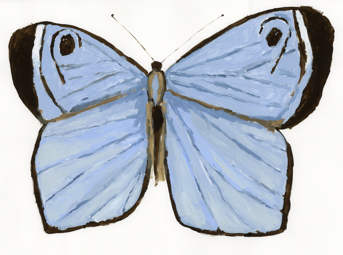 Blue Butterfly PRINT