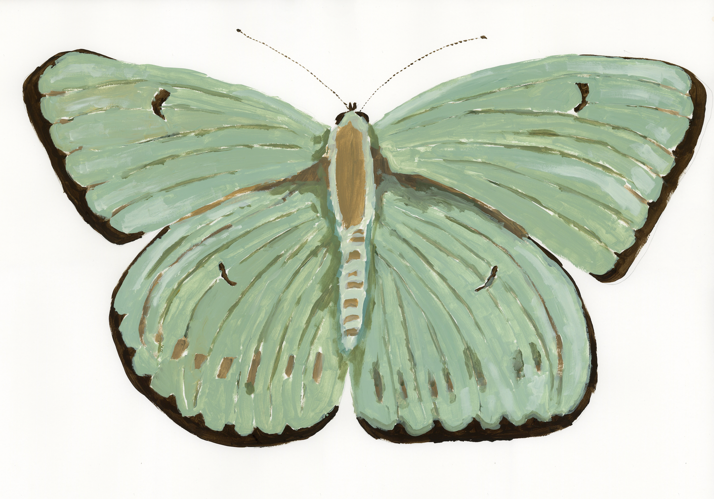 Green Butterfly PRINT