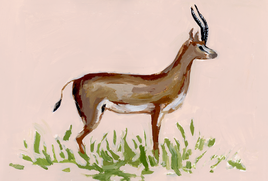 Gazelle PRINT