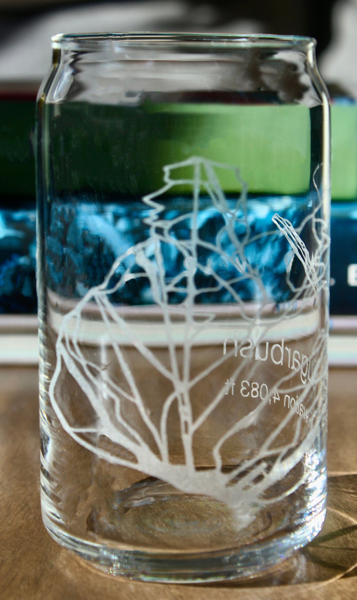 Sugarbush Vermont Ski Trail Map Laser Engraved Glasses