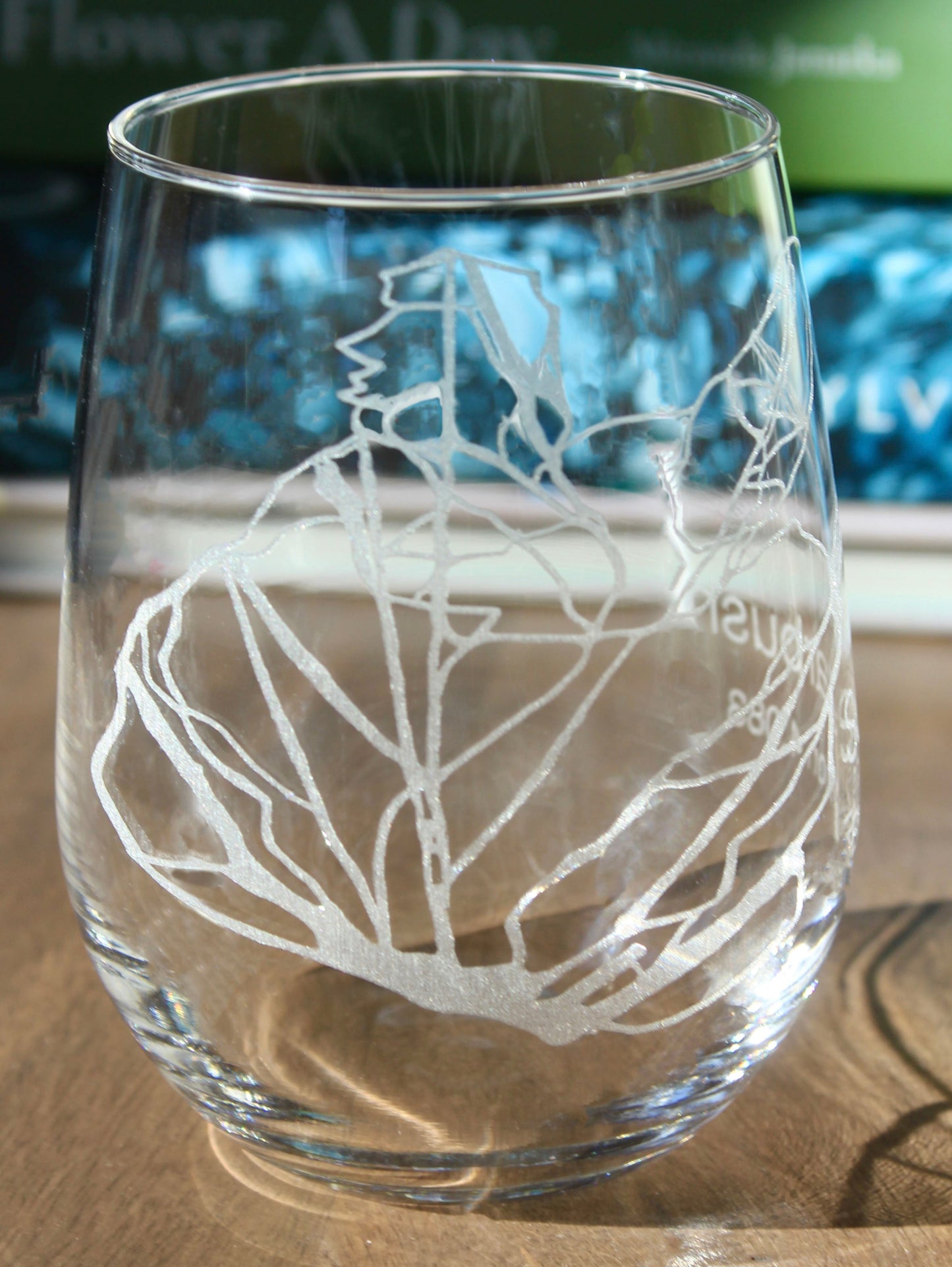 Sugarbush Vermont Ski Trail Map Laser Engraved Glasses