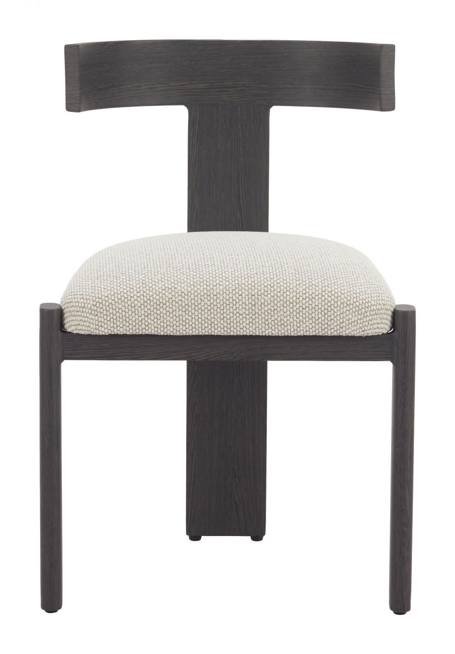 Tiana Olefin Fabric Outdoor Dining Chair