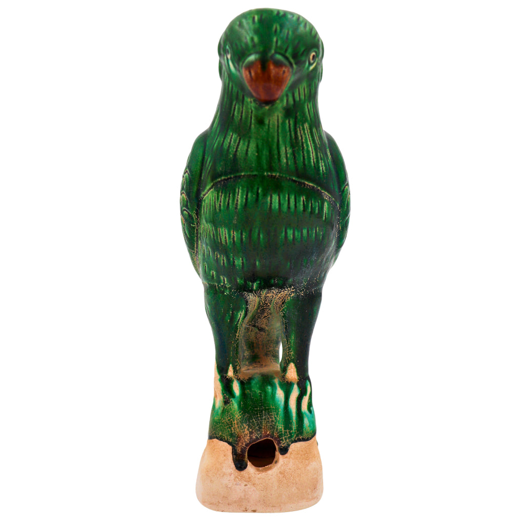 Verde Voyager Parrot
