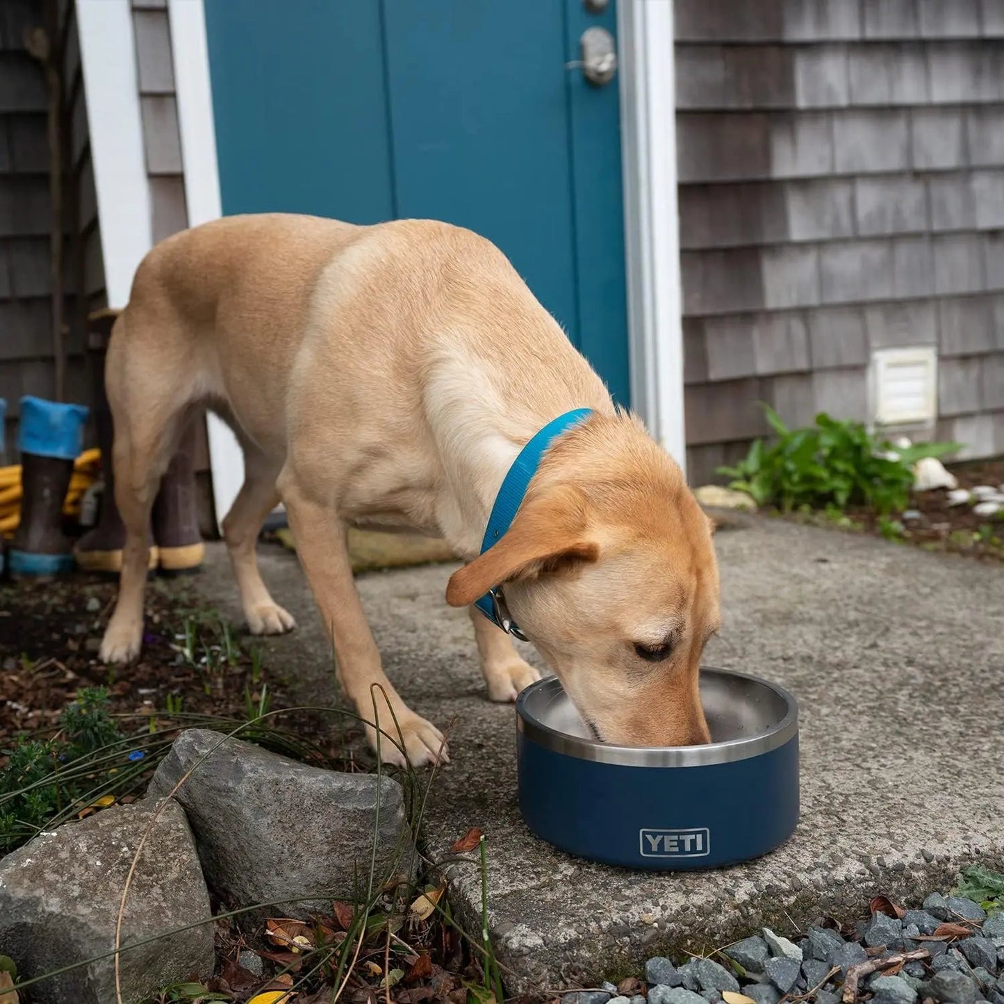 YETI 8, Stainless Steel, Non-Slip Dog Bowl, Holds 64 Ounces